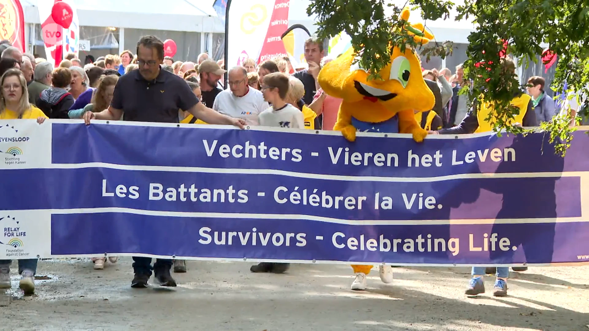 Honderden vechters lopen of stappen voor het goeie doel tijdens Levensloop