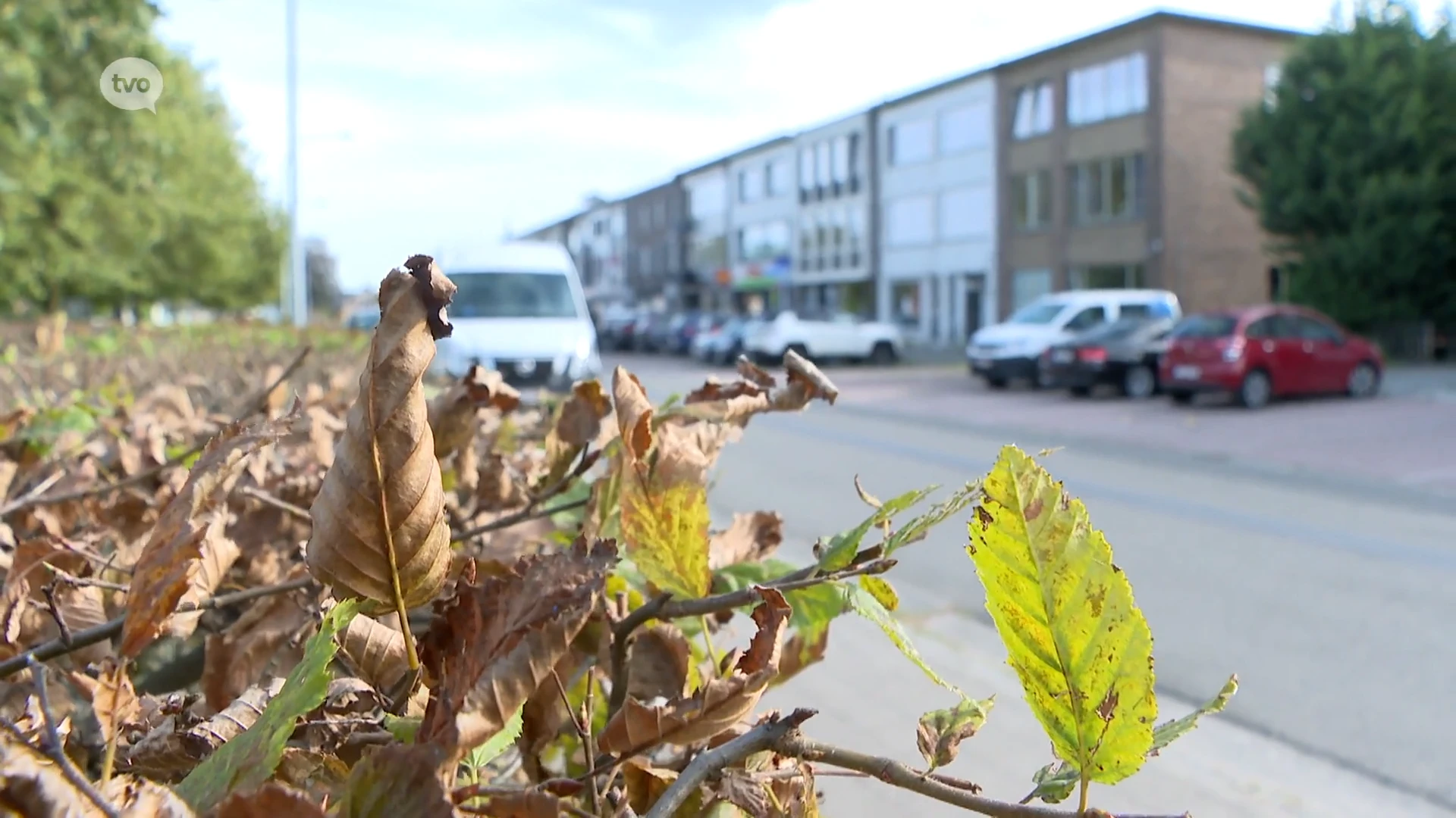 Heeft Sint-Niklaas écht een Roma-probleem zoals Conner Rousseau zegt?