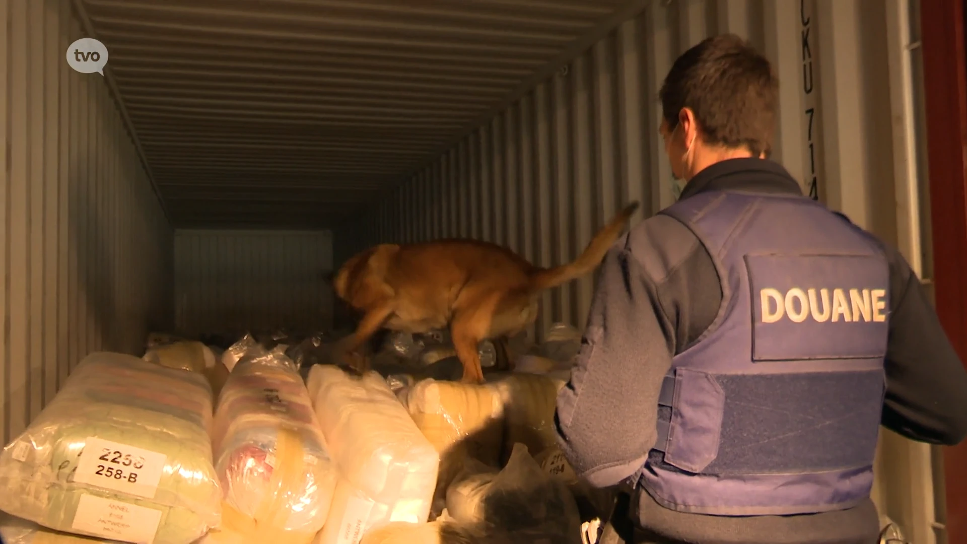 Douane onderschept 408 kilogram cocaïne uit Brazilië in Waaslandhaven