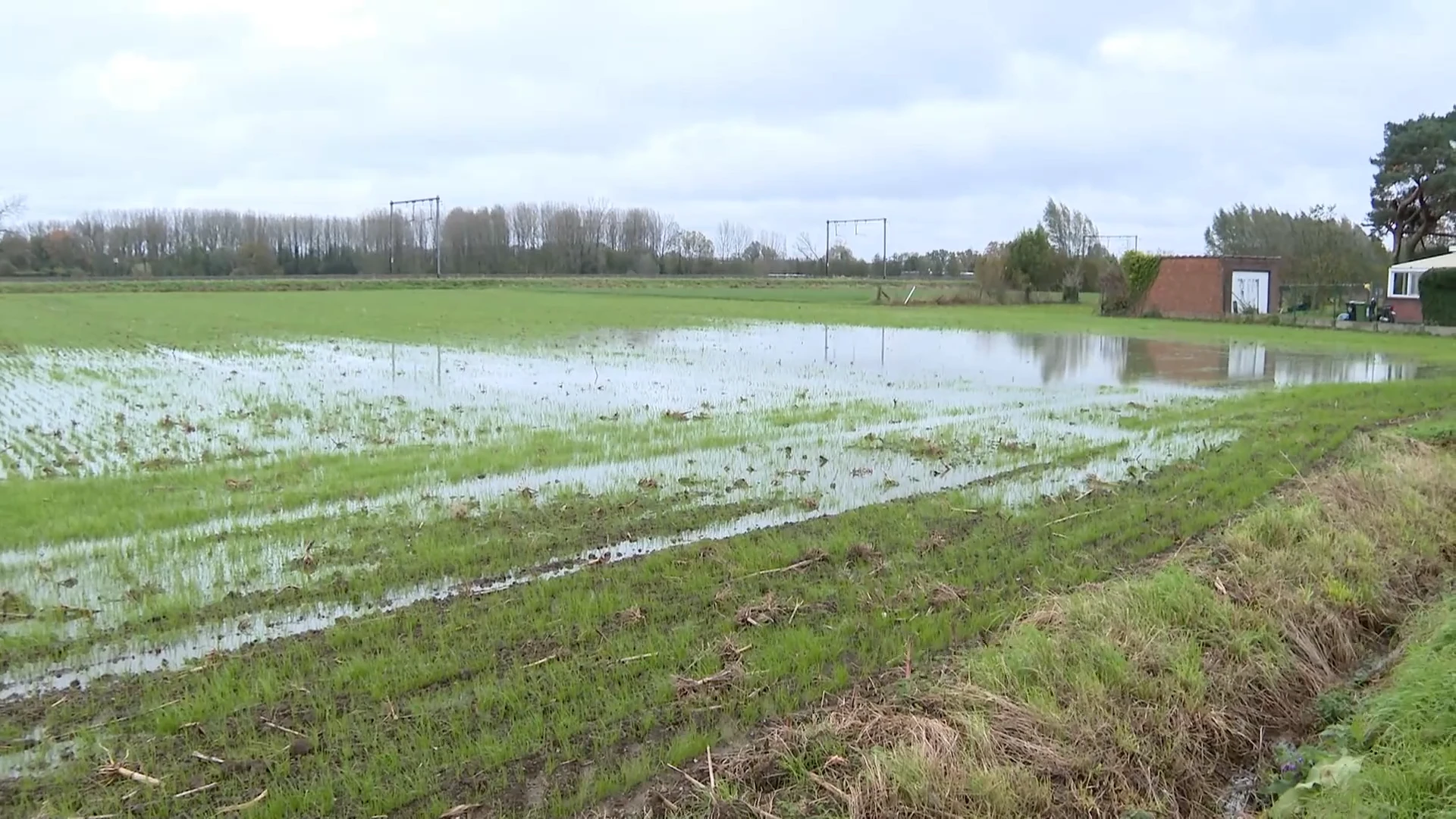 VMM: "Waterlopen zullen buiten de oevers treden, maar huizen zijn niet bedreigd"