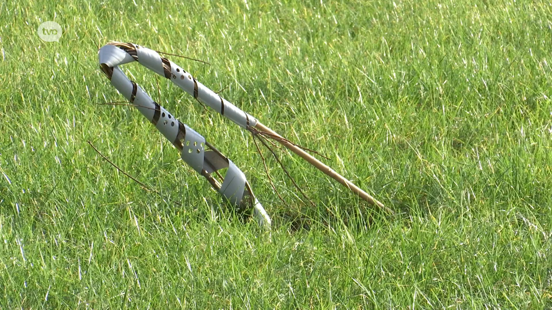 Honderden net aangeplante boompjes vernield in natuurgebied in Sinaai