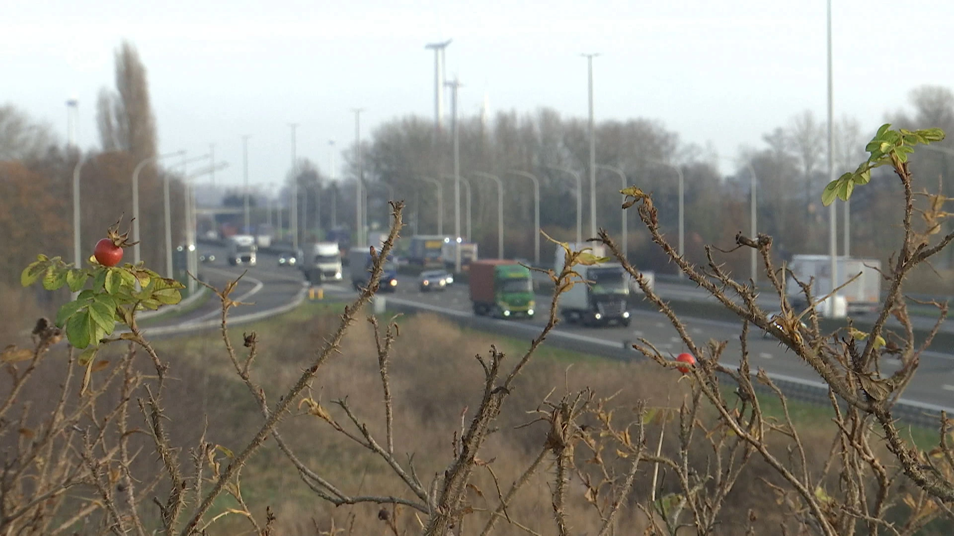 E17 in nacht van vrijdag op zaterdag afgesloten tussen Sint-Niklaas en Kruibeke