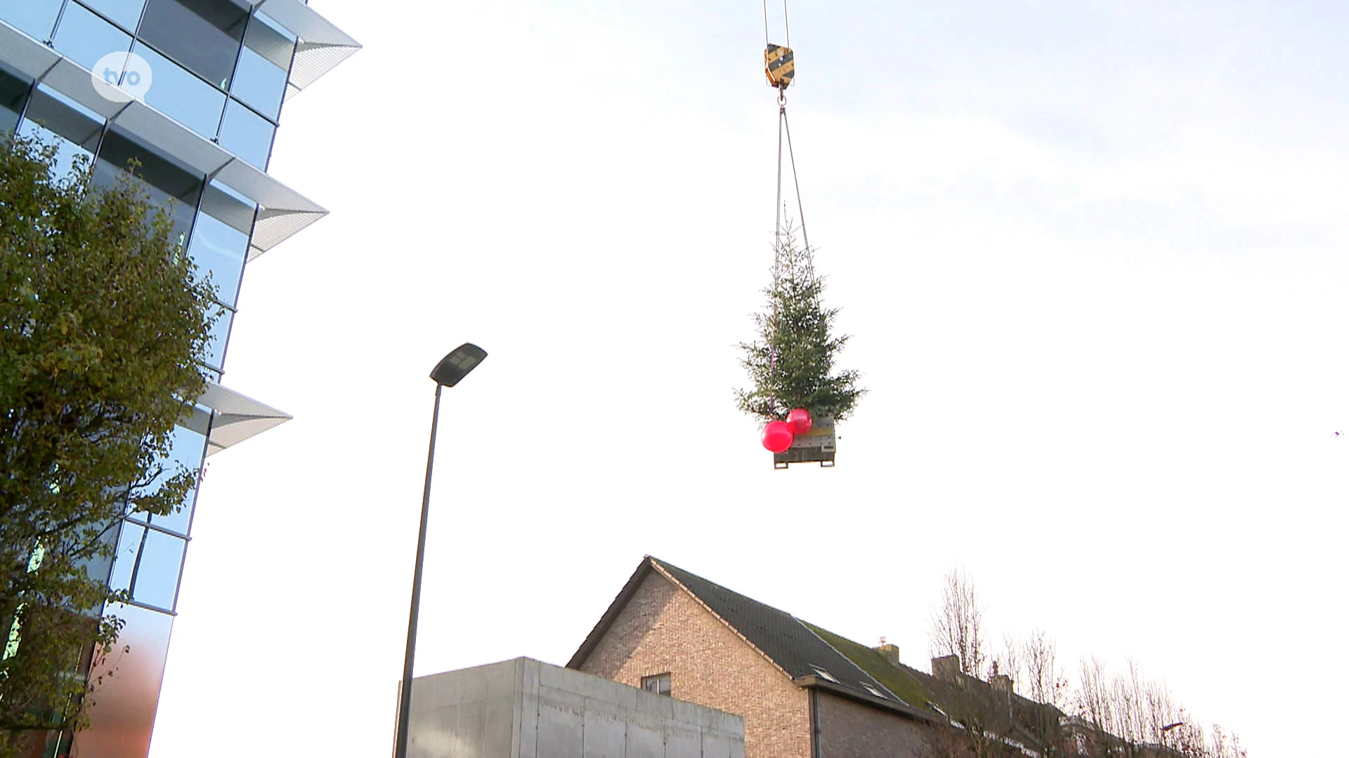 Mei(kerst)boom op dak van toekomstig kantoorgebouw Jan De Nul in Aalst, de ruwbouw is klaar