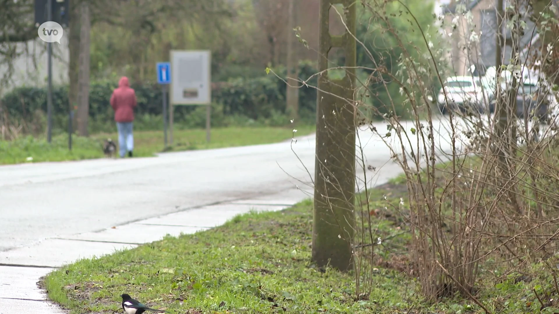 Exhibitionist die Hamme teisterde is vrij onder strenge voorwaarden