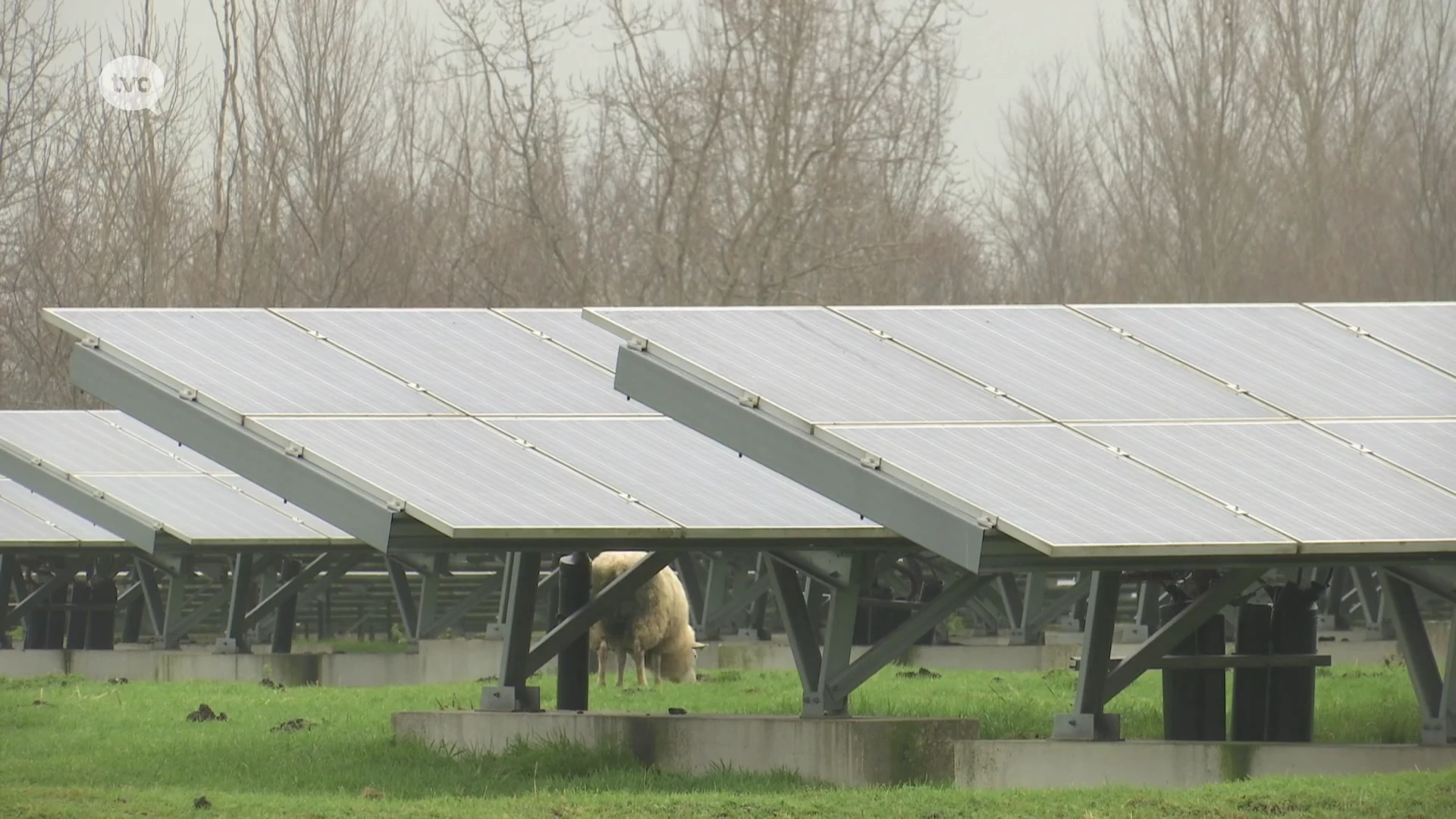 Wichelen, Berlare, DDS en Verko zijn Europees testgebied voor energieneutrale regio