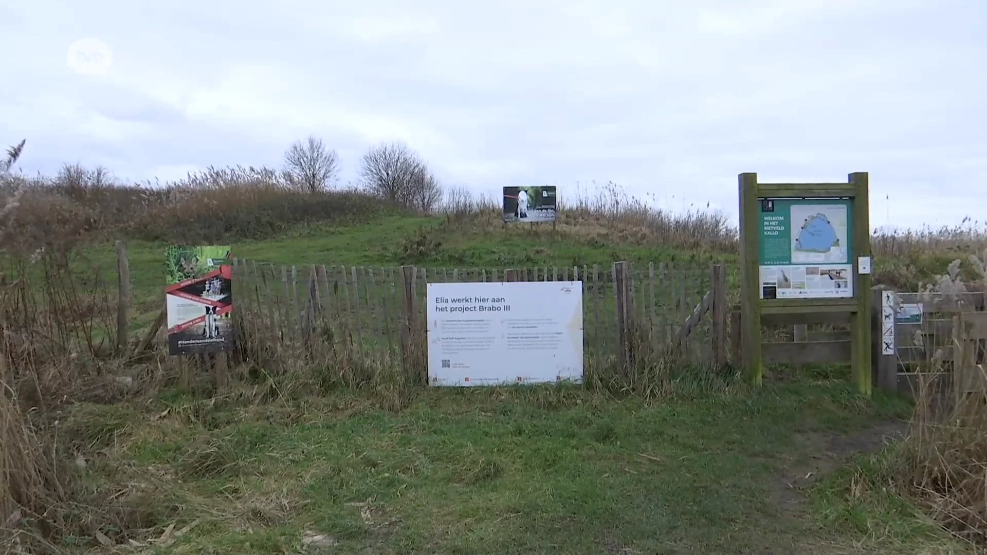 Politie zet illegale kerstrave stop in natuurgebied Groot Rietveld in Kallo