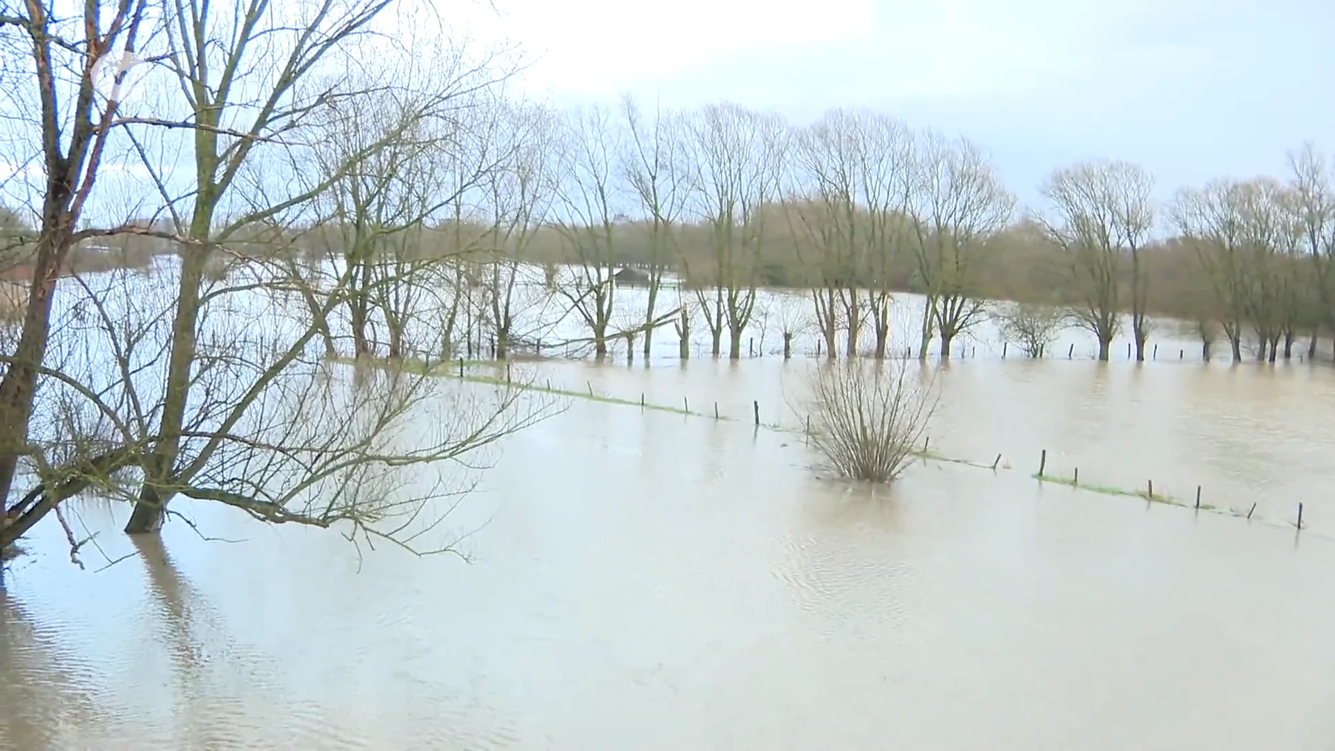 Aanhoudende regen doet straten én huizen onderlopen in zuiden van Oost-Vlaanderen