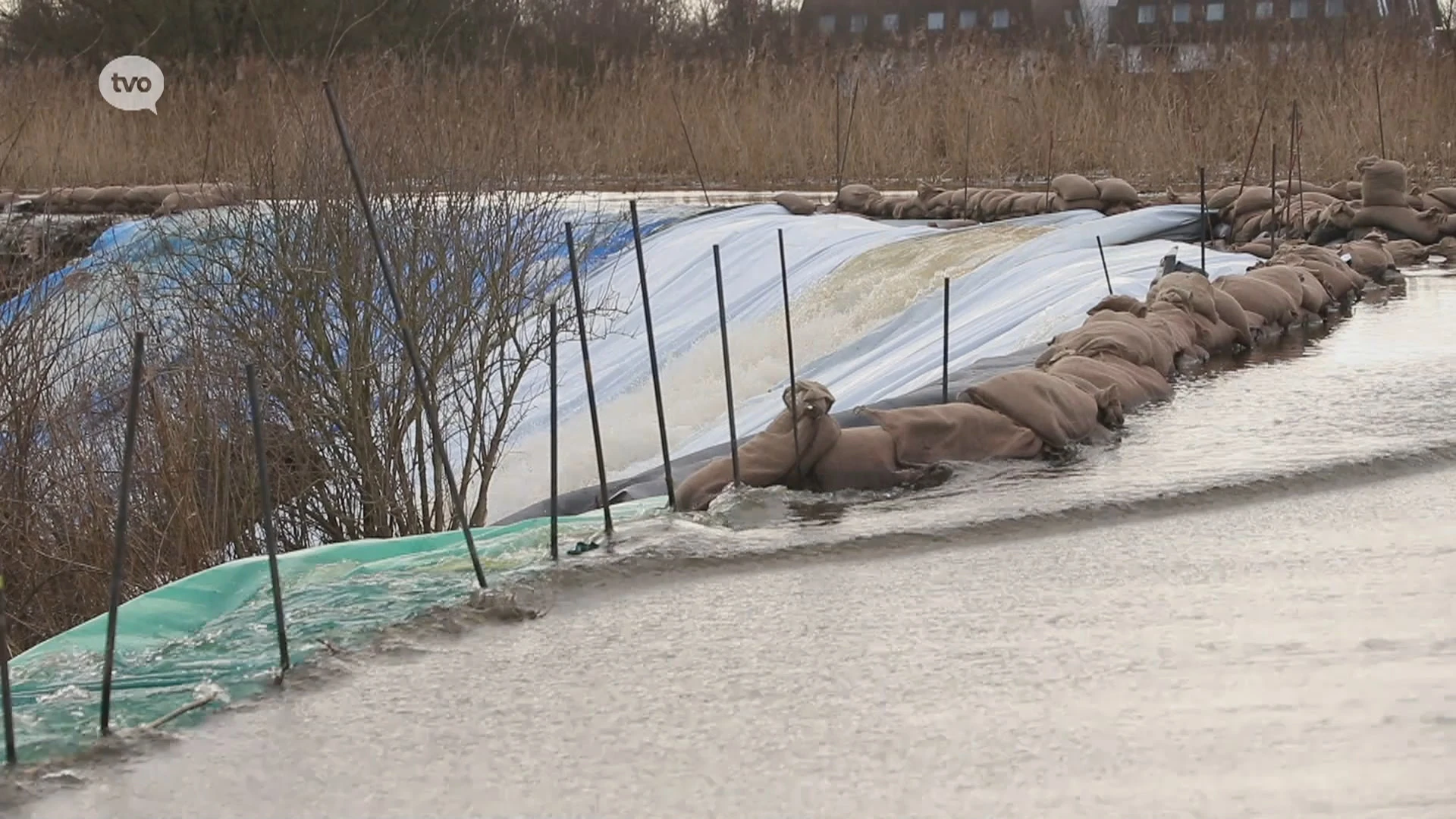 Waterpeilen ook in Waasland nog hoog: Durmewater stroomt Molsbroek in