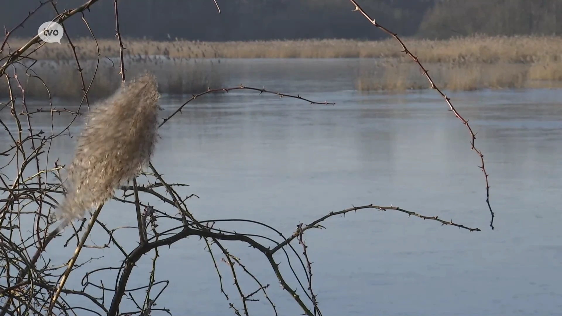 Ook vzw pleit voor uitbaggering Durme: “Te veel water in Molsbroek is ook niet goed”