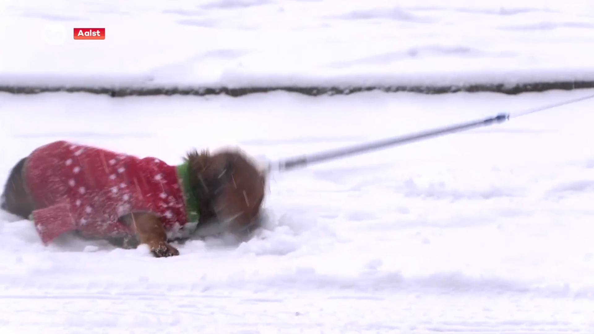 Daar is de sneeuw: 5 cm in Aalst, 10 cm in Geraardsbergen, maar niks in het Waasland