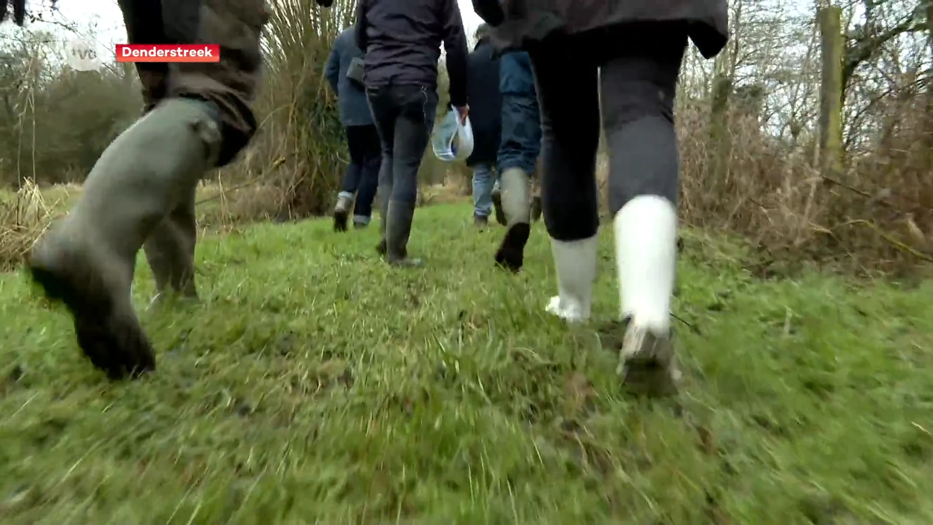 Natuurpunt stelt Wetlandplan voor: 1.500 ha vernatten om het droog te houden