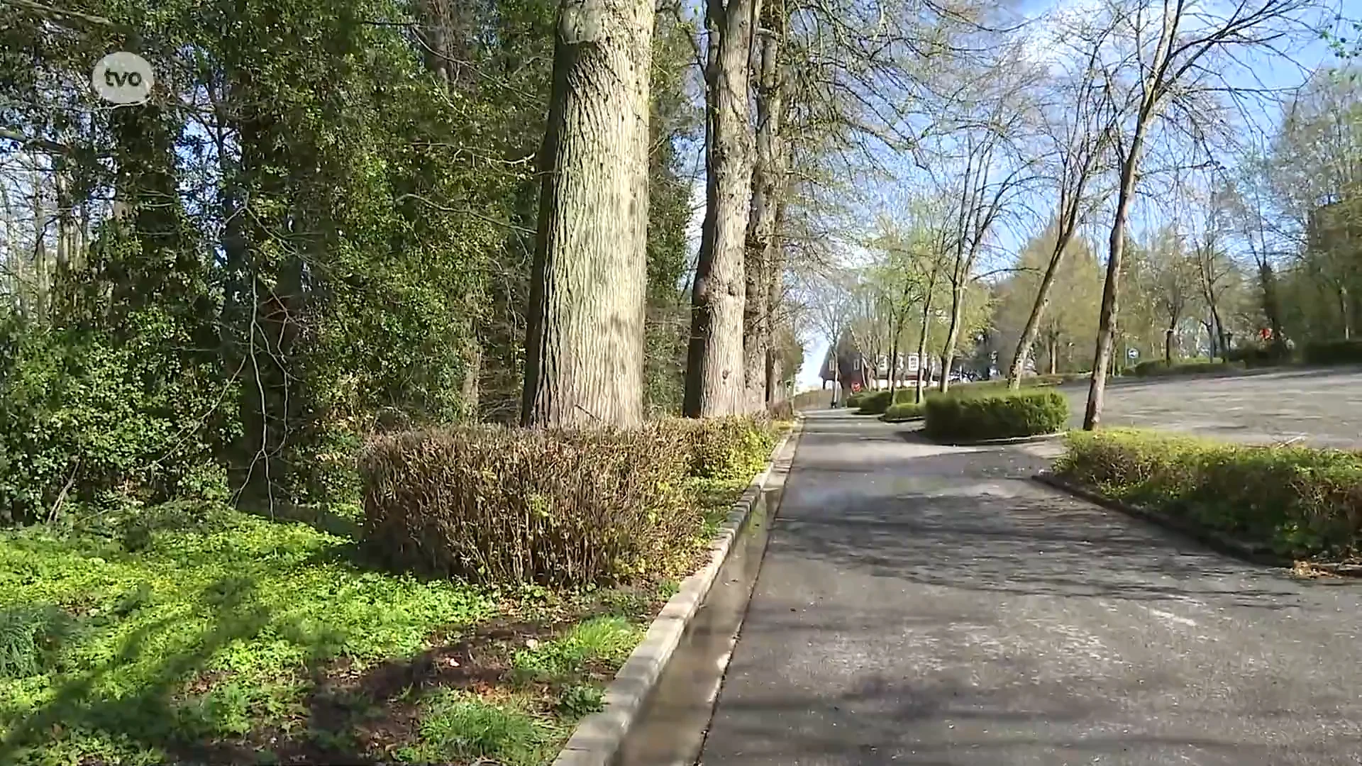 Oost-Vlaanderen sluit vanmiddag provinciale domeinen en bossen vanwege stormweer