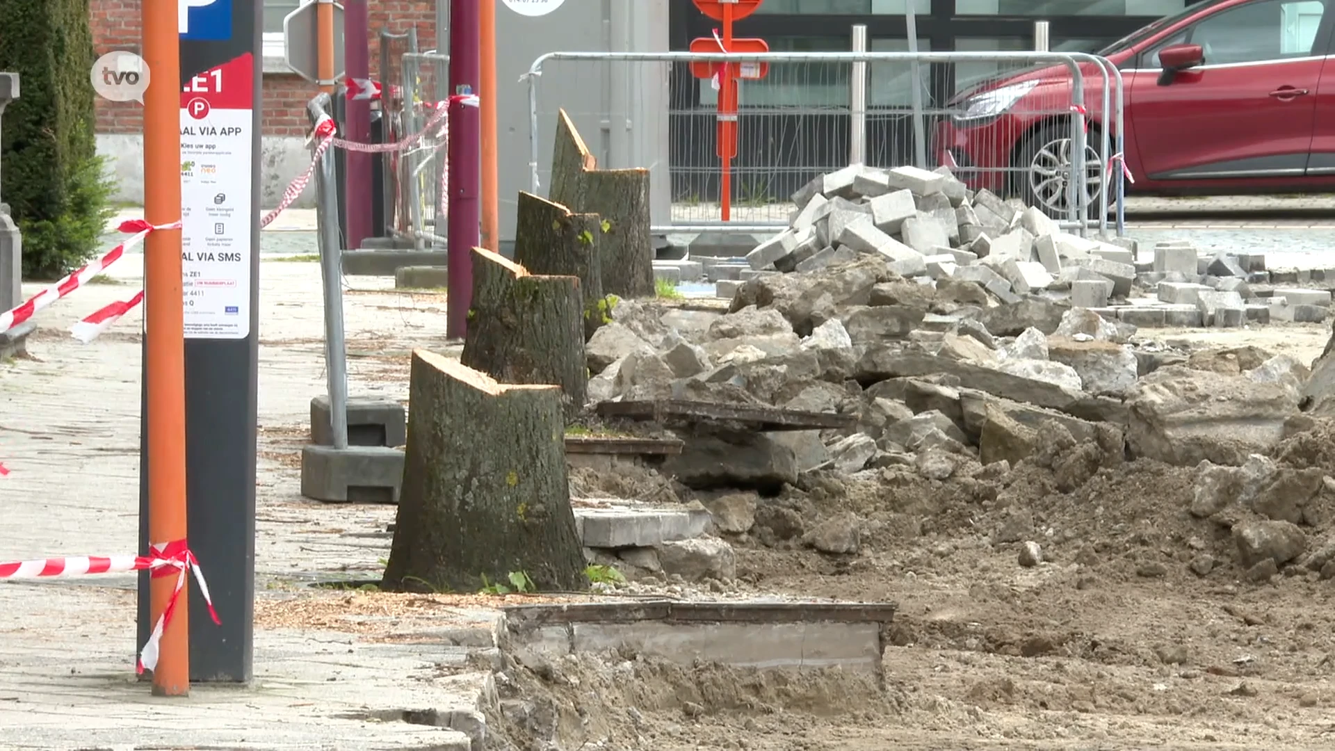 Kap bomen op Markt Zele zorgt voor commotie: “Geen geschikte bomensoort voor die locatie”