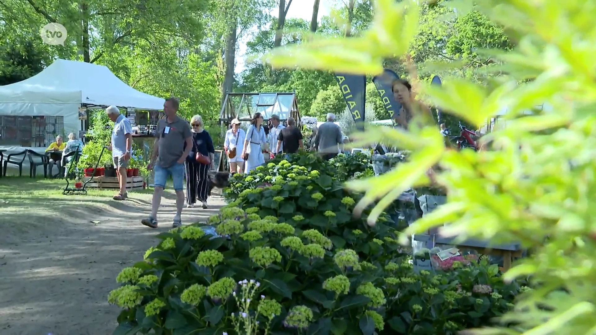 Het was over de koppen en de bloempotten lopen op de Tuindagen in Beervelde