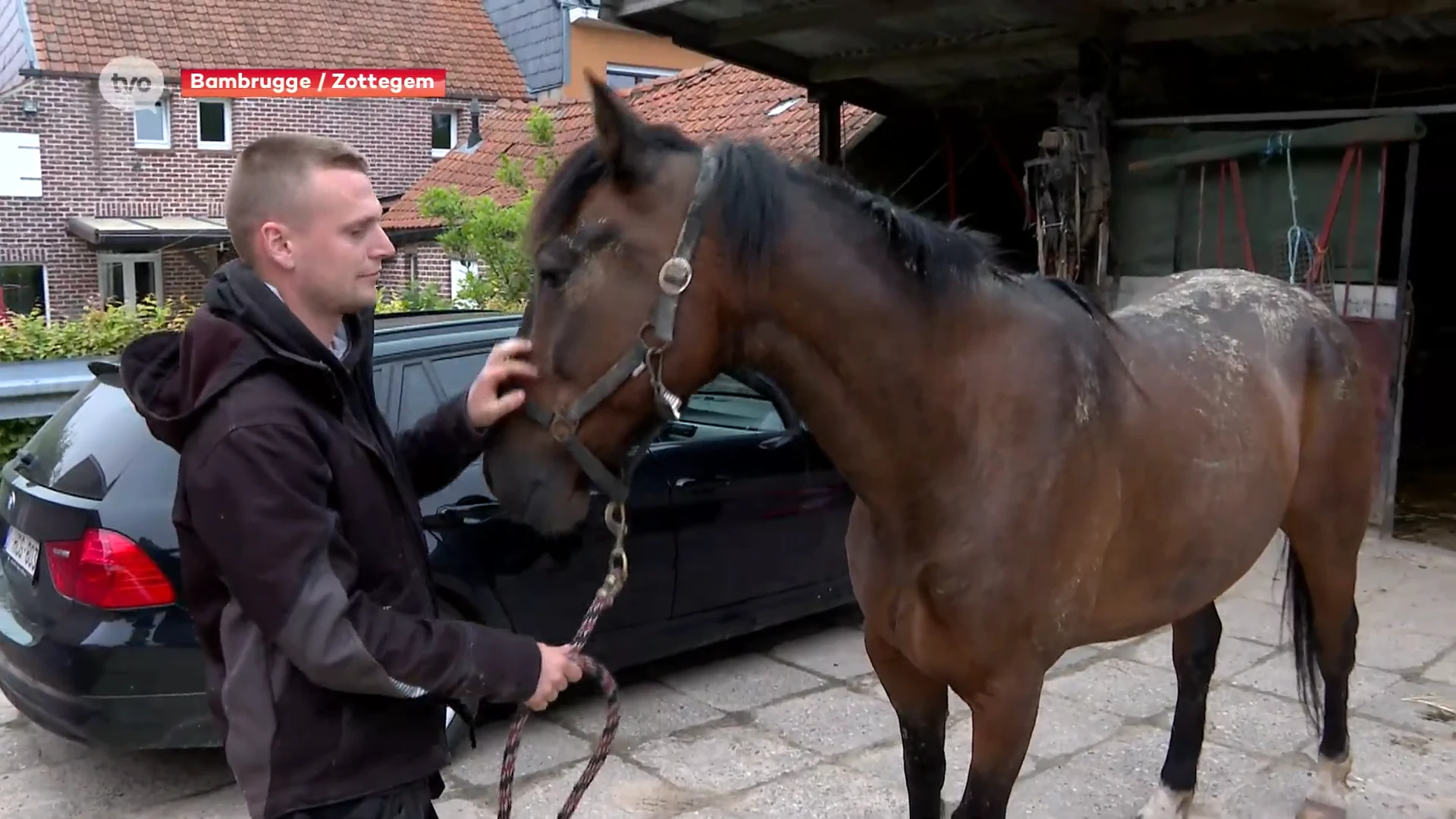 Vijf paarden op hol geslagen door vuurwerk in Bambrugge, een dier sterft na aanrijding door auto