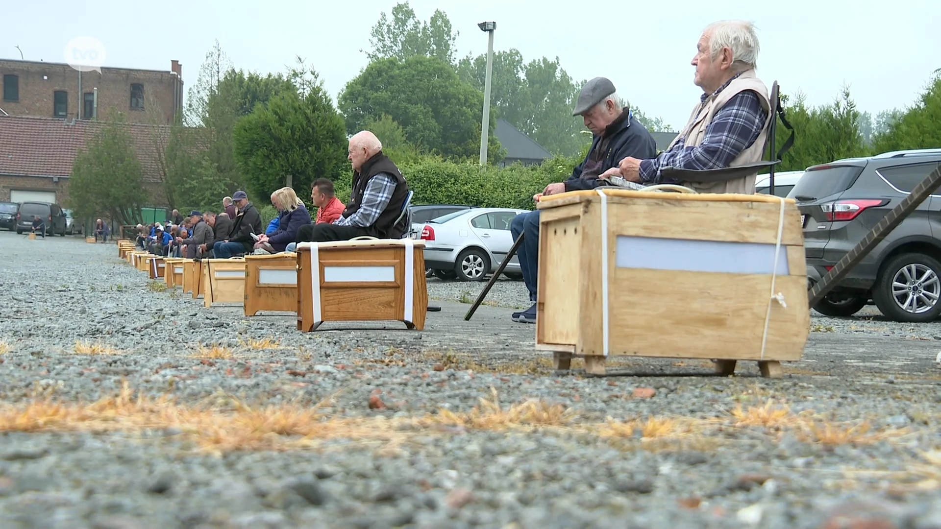 Vinkenzetting in Ophasselt lokt heel wat volk: "Maar moeilijk om jonge mensen warm te maken"