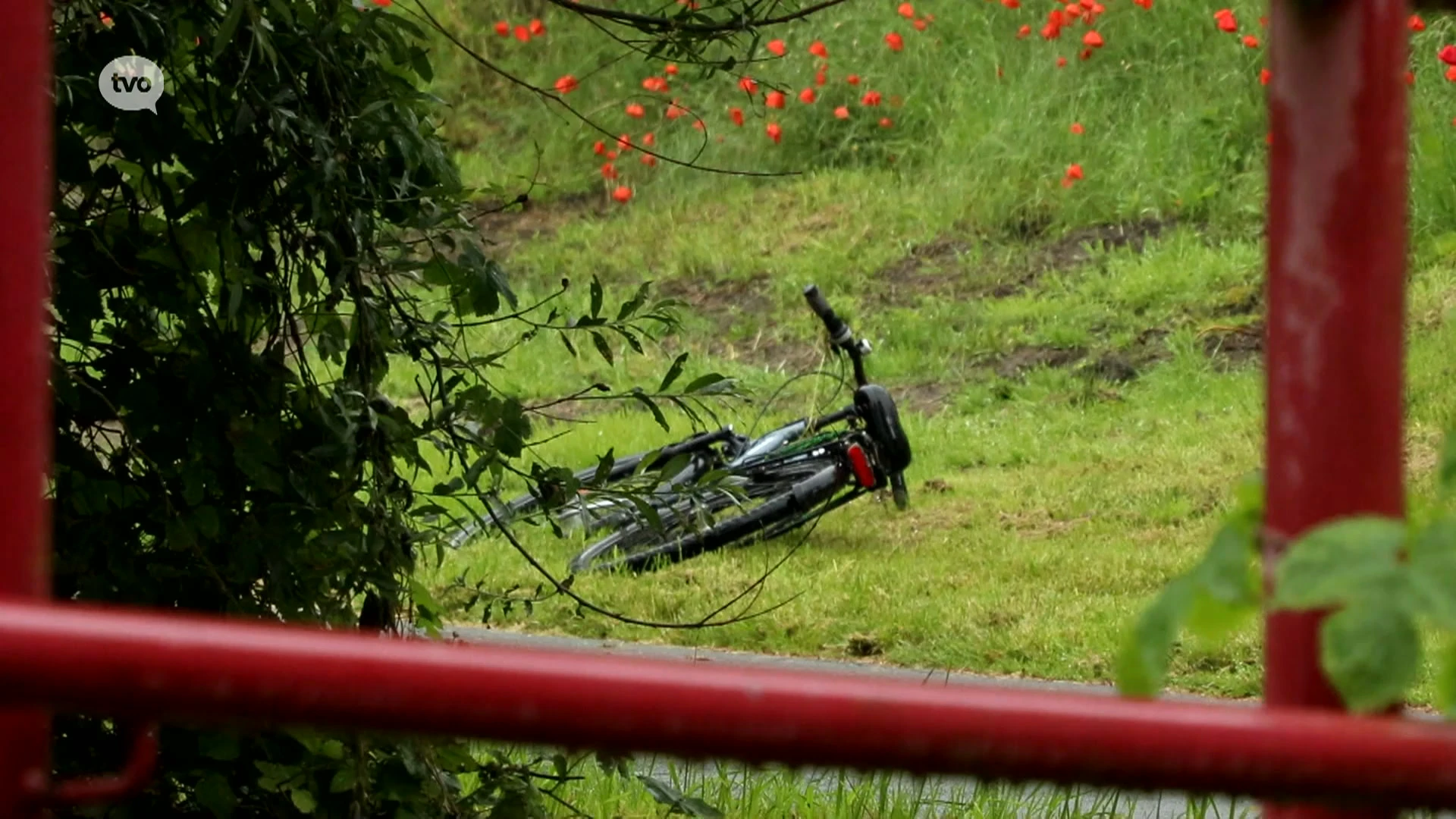 Voorbijganger vindt levenloos lichaam in de Durme in Lokeren