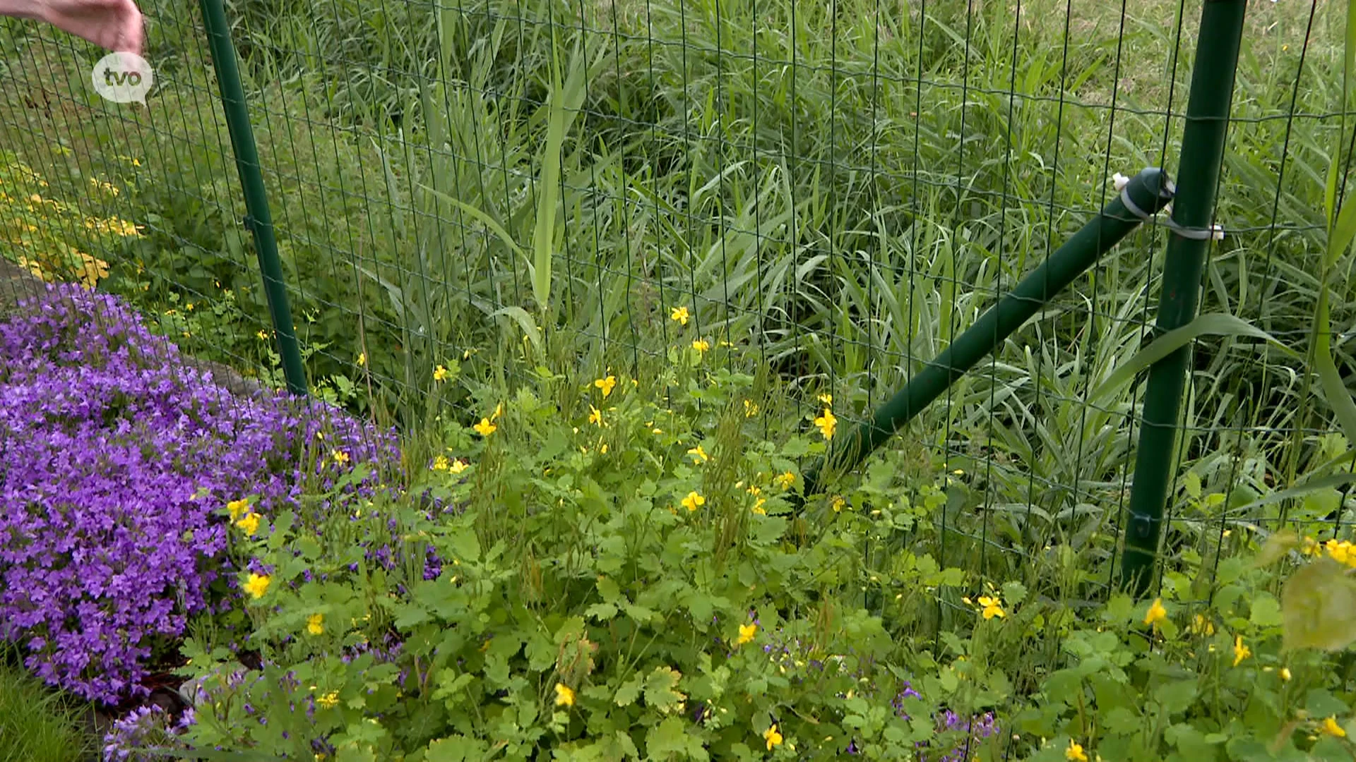 90 woningen in Denderstreek kunnen niet beschermd worden tegen wateroverlast en moeten weg