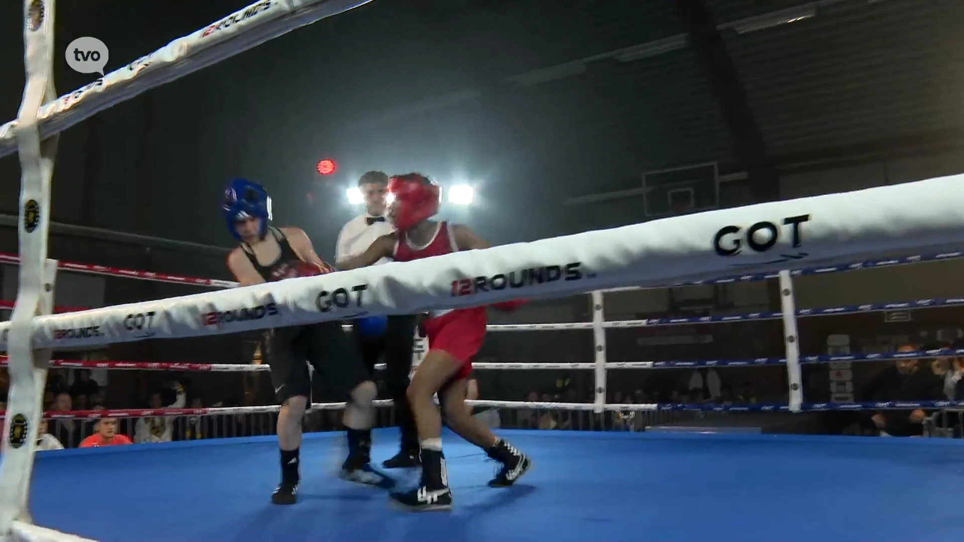 Boksgala in Boxing Club Temse groot succes: "We zijn één team, één familie"