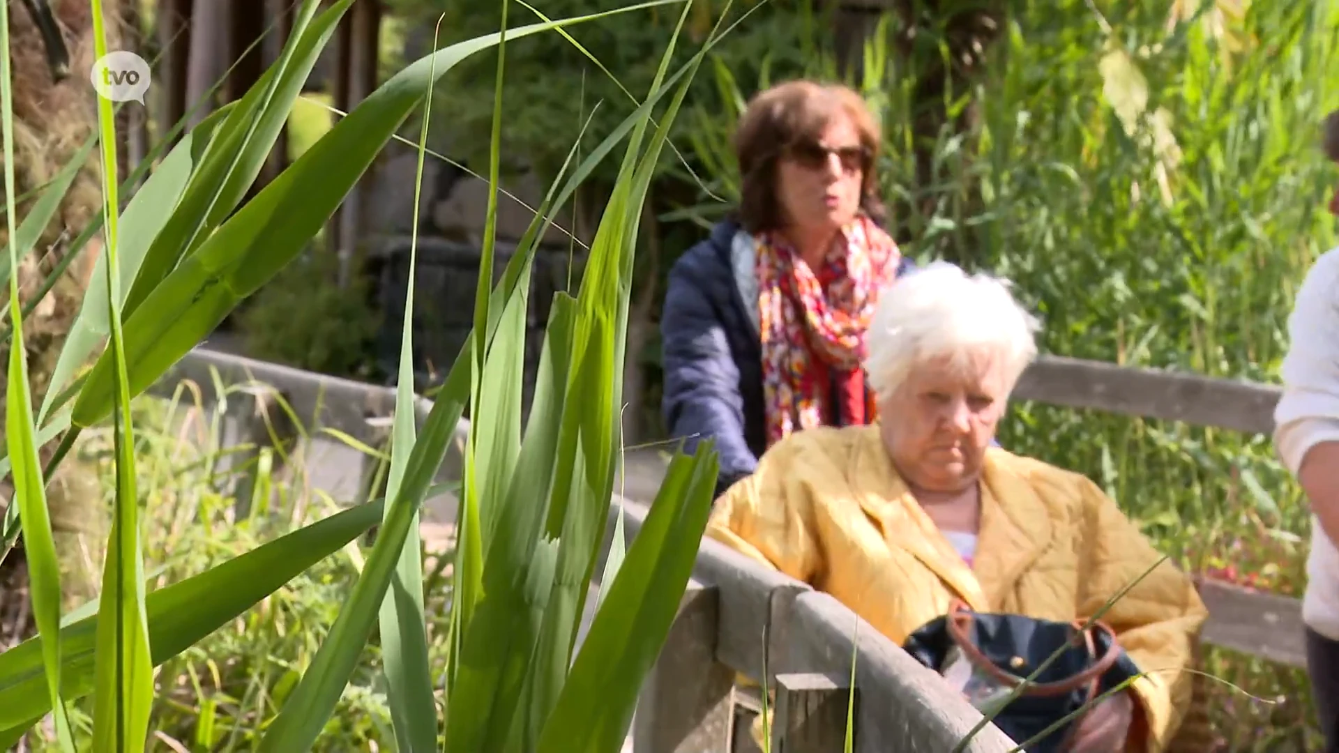 Bewoners van onder vuur liggend Hof Ter Staede op uitstap naar zoo van Planckendael