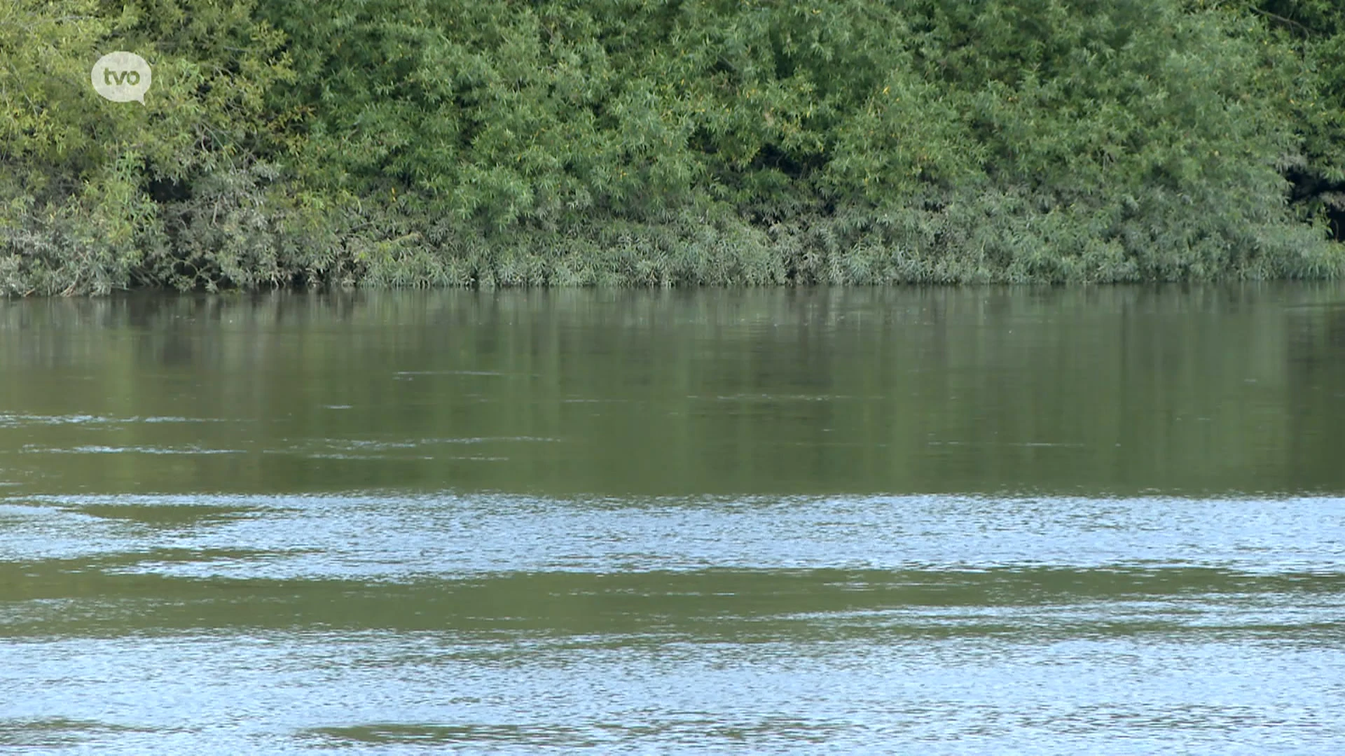 Bestuurder (20) teruggevonden in Schelde na ongeval met personenwagen