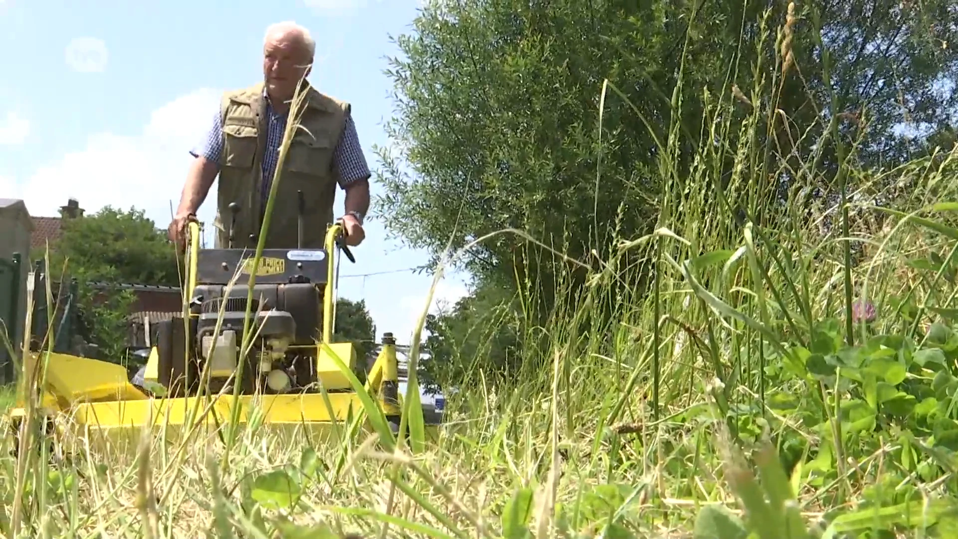 Jean (77) koopt grasmaaier voor onderhoud overwoekerd wandelpad in Kallo