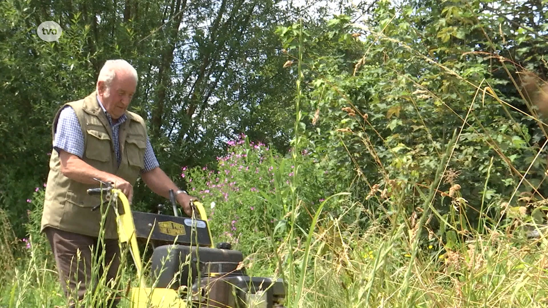 Buurtbewoner onderhoudt zelf openbaar wandelpad in Kallo; gemeente, golfclub en Fluvius gaan in overleg