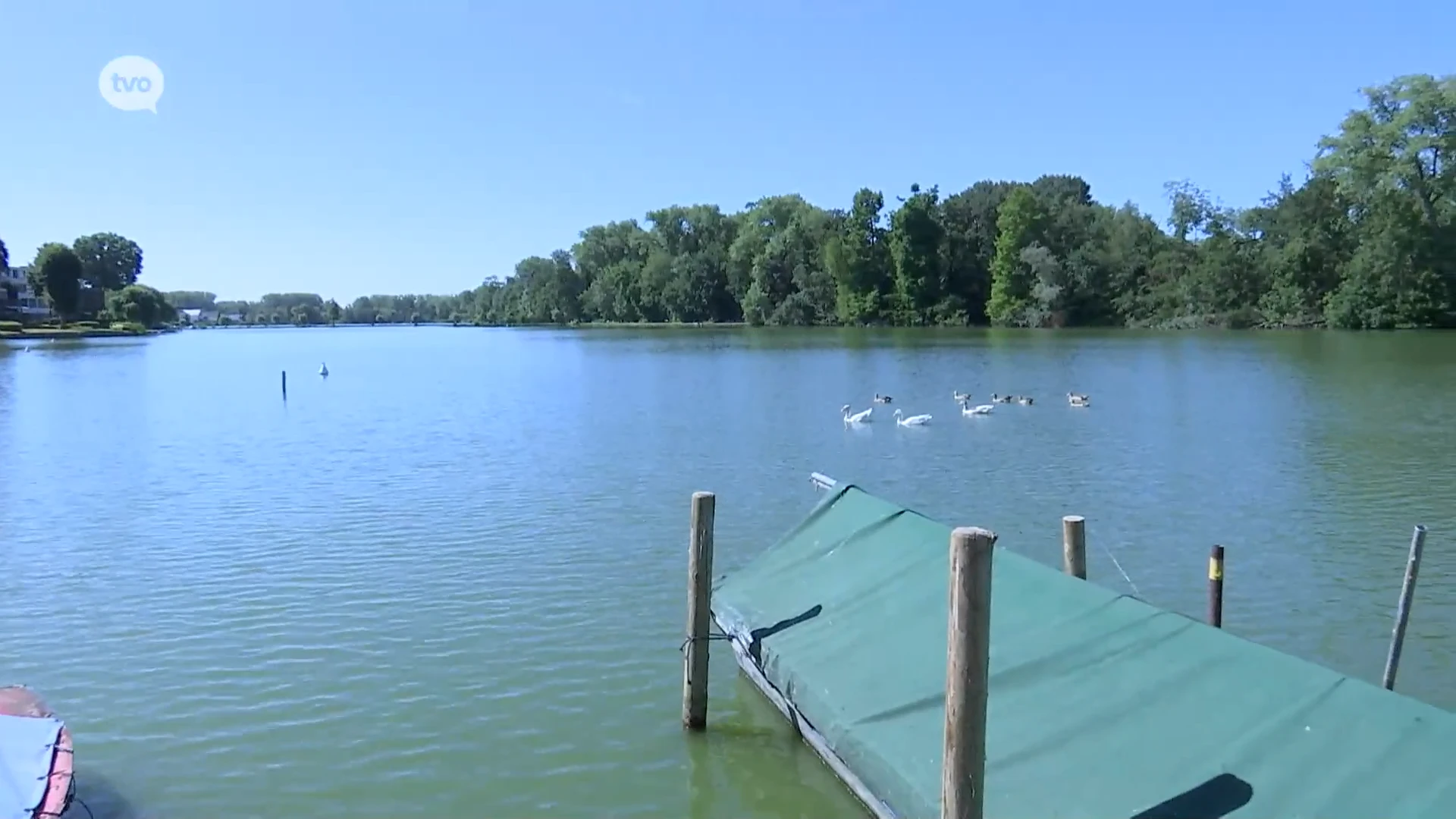 Opnieuw blauwalgen in het Donkmeer, alle contact met water verboden