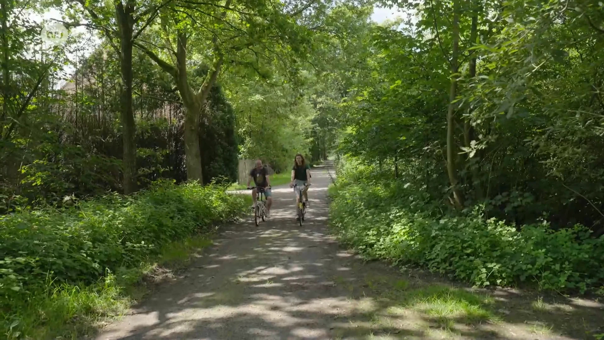 Zomertip - Fietsen tussen Moervaart en Zuidlede