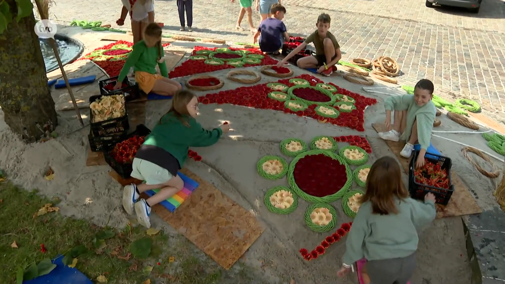 Vanavond ligt er weer een prachtig bloementapijt in Moorsel