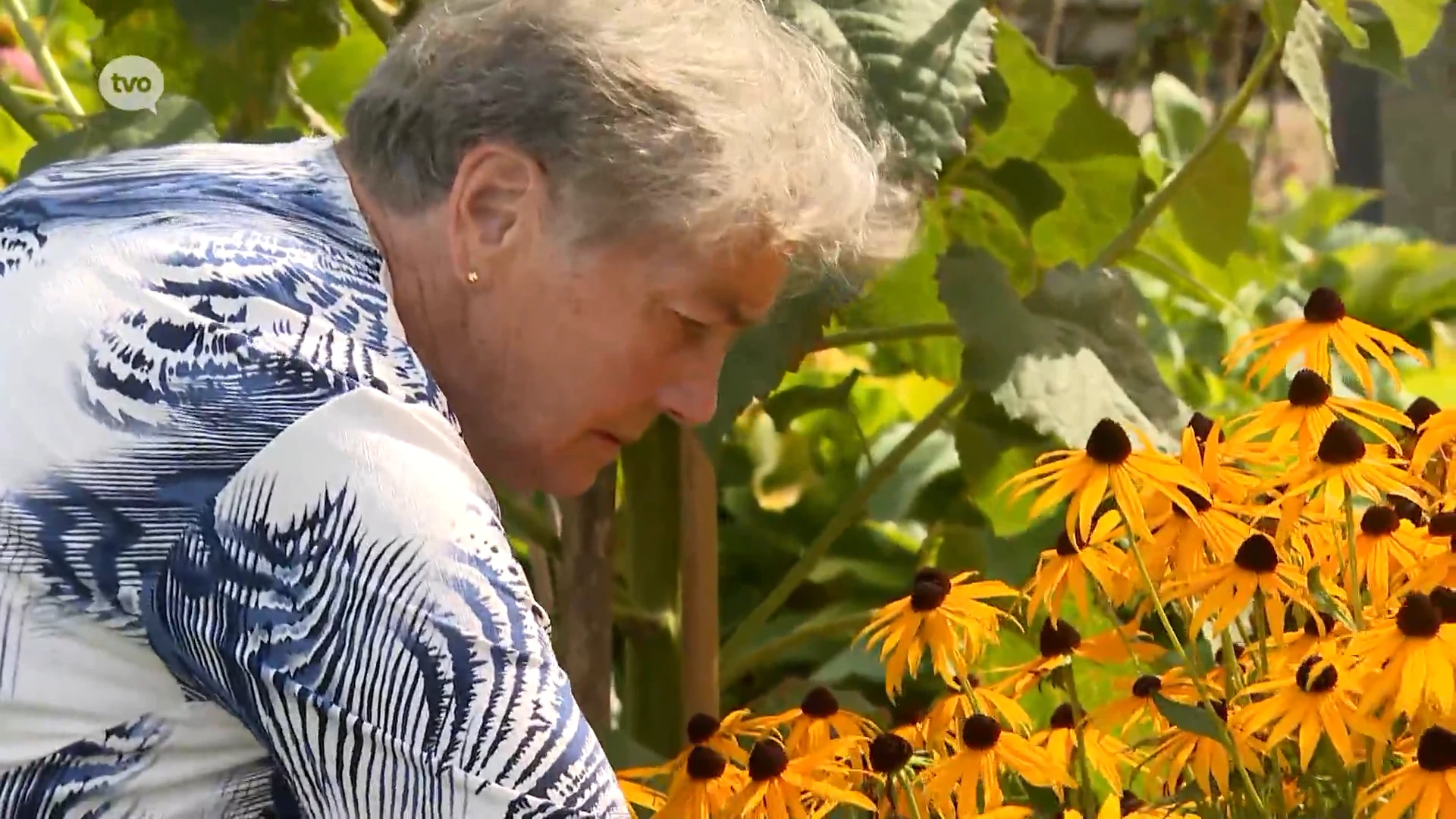 88-jarige Jeanne verzorgt nog elke dag haar bloemen: "Ouderdom mag geen excuus zijn"