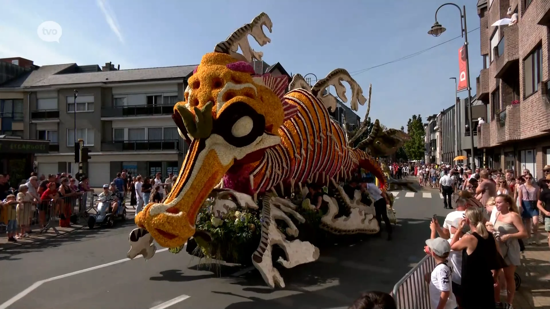 Surrealistische editie van Bloemencorso trekt door de straten van Sint-Gillis-Dendermonde