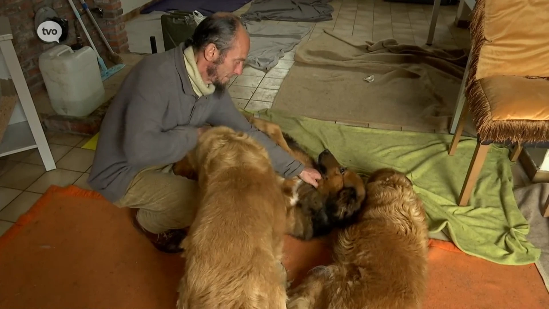 Sven (52) uit Beveren gaat in hongerstaking, omdat hij en z'n honden uit kraakpand worden gezet