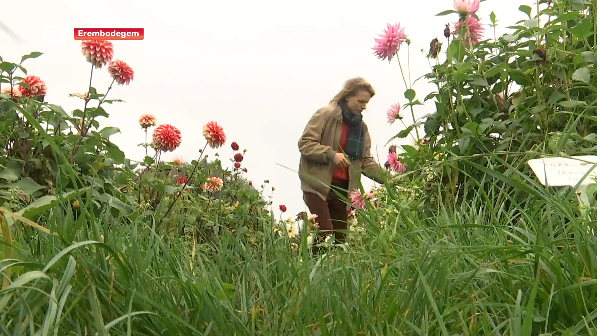 Rust zoeken in de tuin van Flor Plukbos in Erembodegem: "Een plek waar mensen troost vinden"