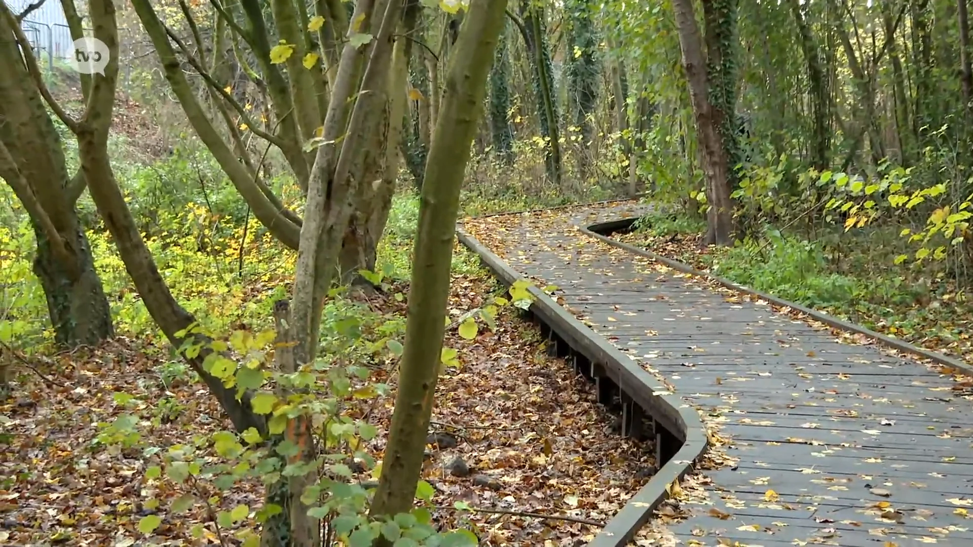 Vlonderpad in Eilandbos Sint-Lievens-Houtem krijgt prijs voor 'Meest toegankelijke trage weg'