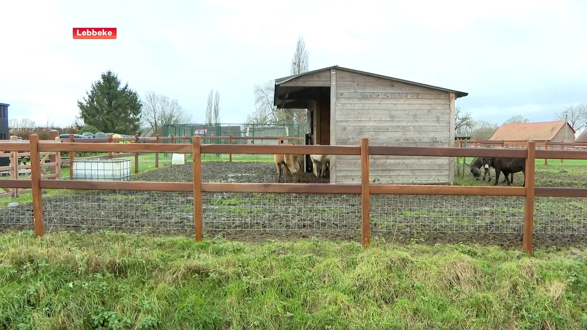 Lebbeke geeft weides nummer zodat hulpdiensten sneller eigenaar kunnen opsporen