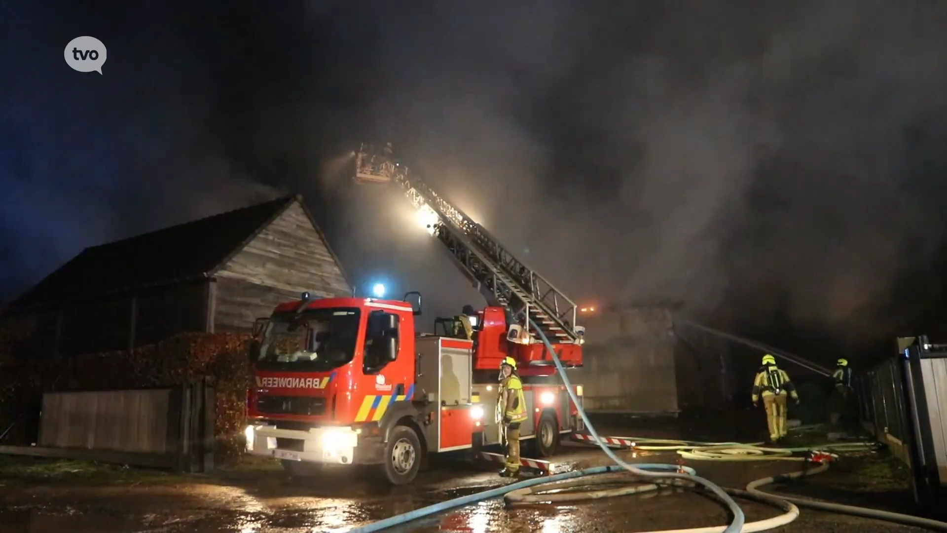 Zeker 15 paarden omgekomen door zware brand bij paardenfokker in Waasmunster