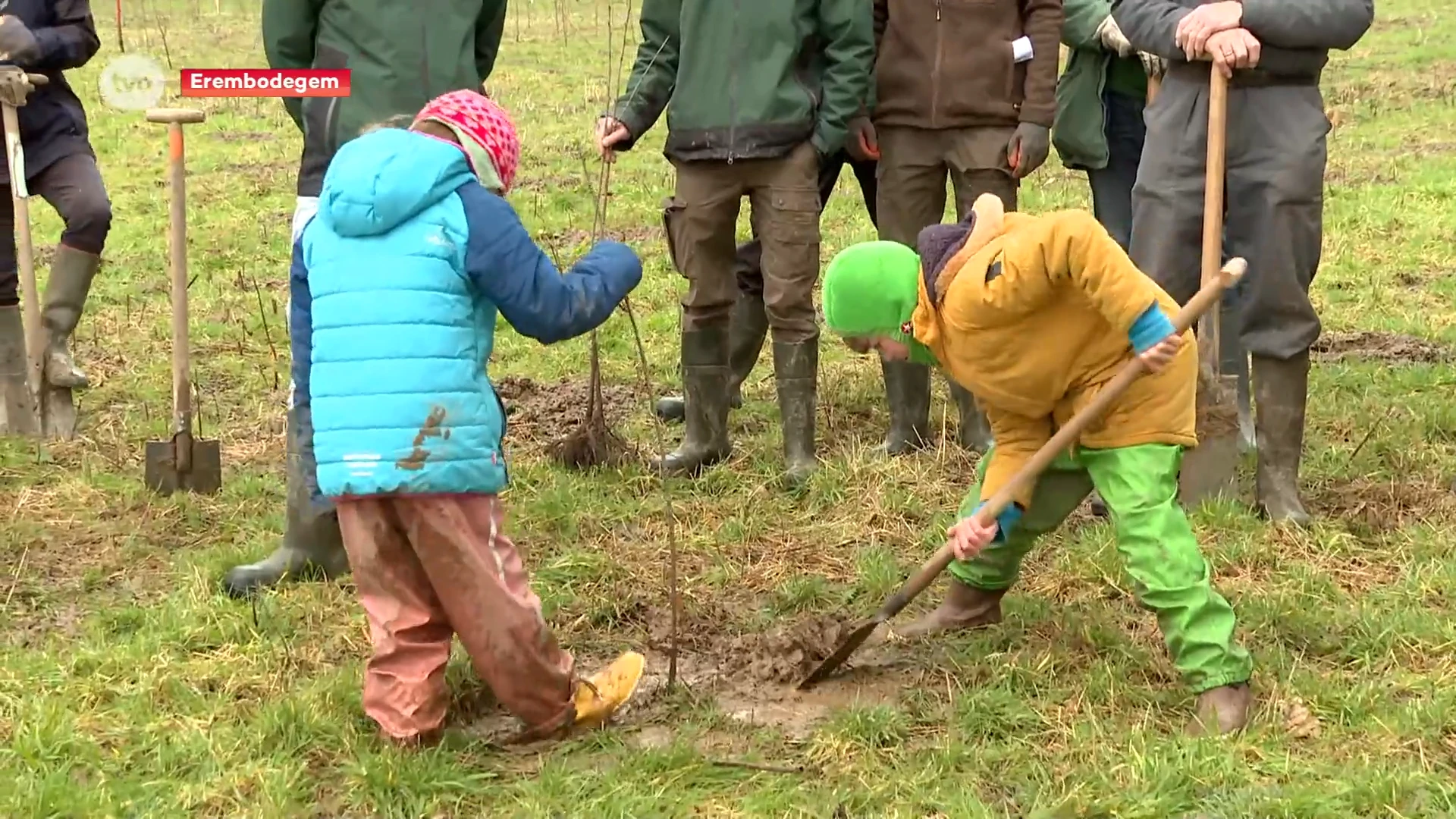 Al 55 hectare nieuw bos in onze provincie dankzij bebossingsproject BOOST