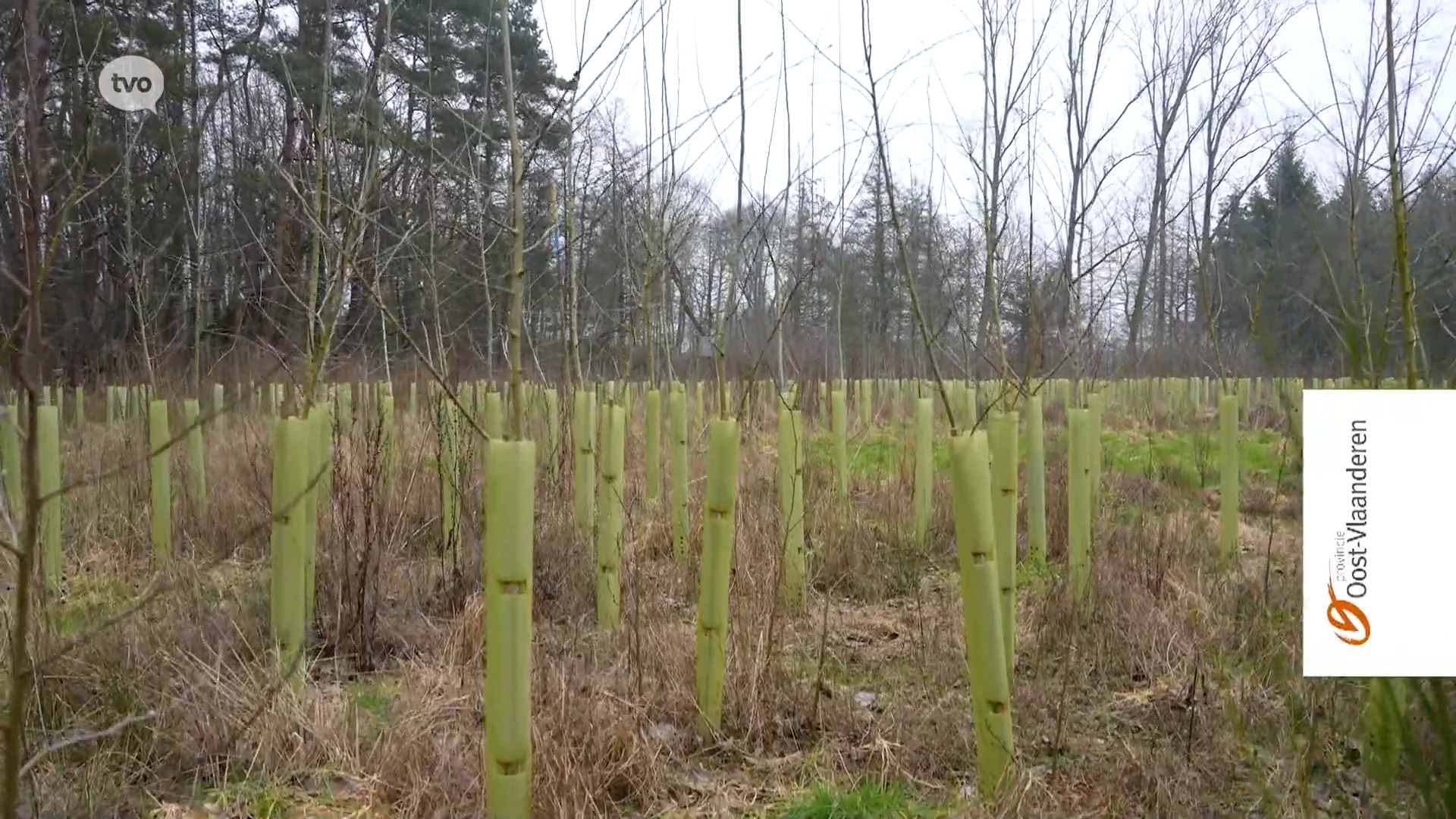 TV Provincie: BOOST fonds voor meer bos