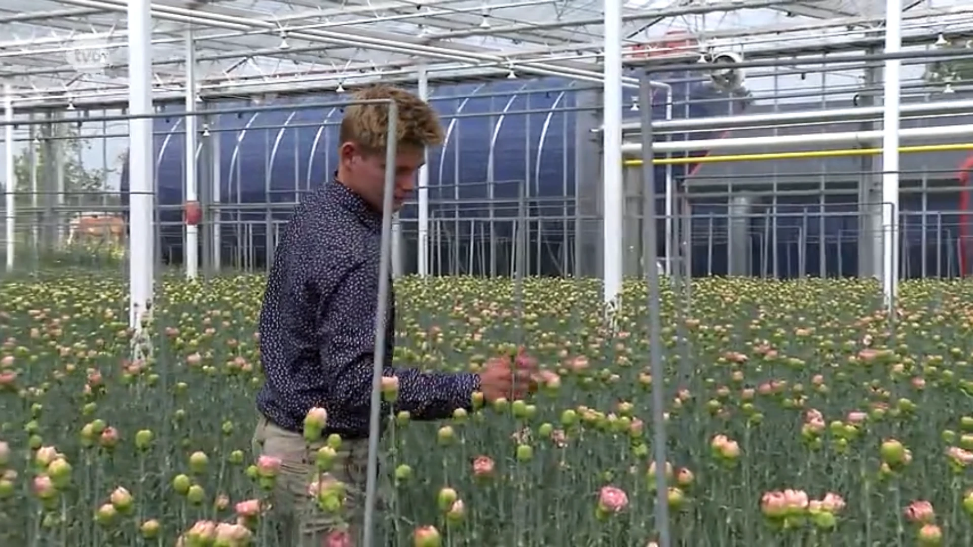 Meer jonge landbouwers zetten de stap naar een eigen landbouwbedrijf