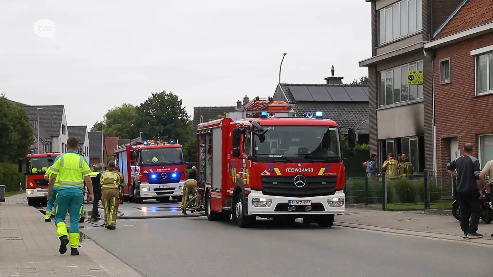 Kat omgekomen bij korte maar hevige appartementsbrand in Stekene