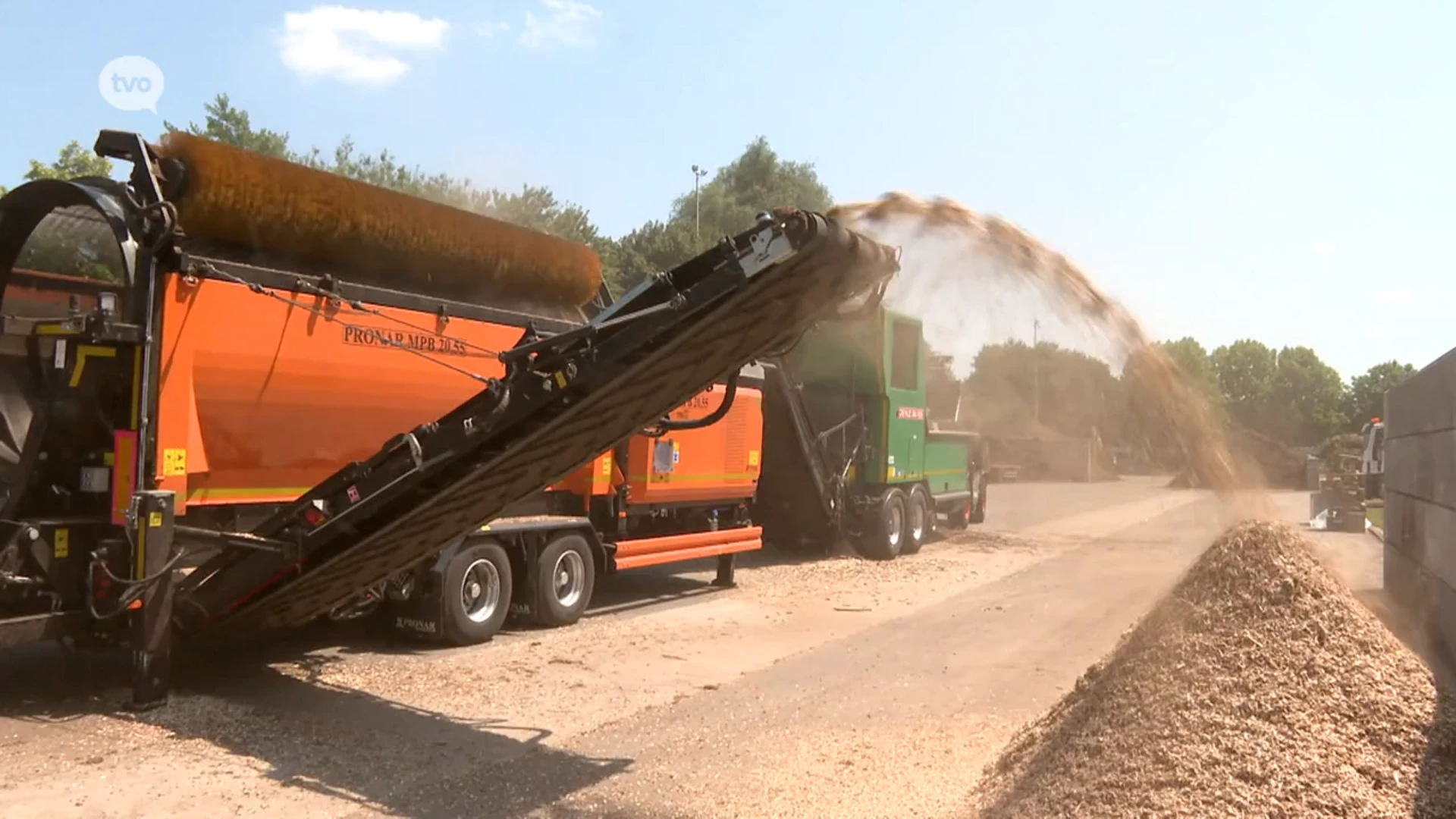 Transformatie van eerste 160 knotbomen bij Ilva in Schendelbeke