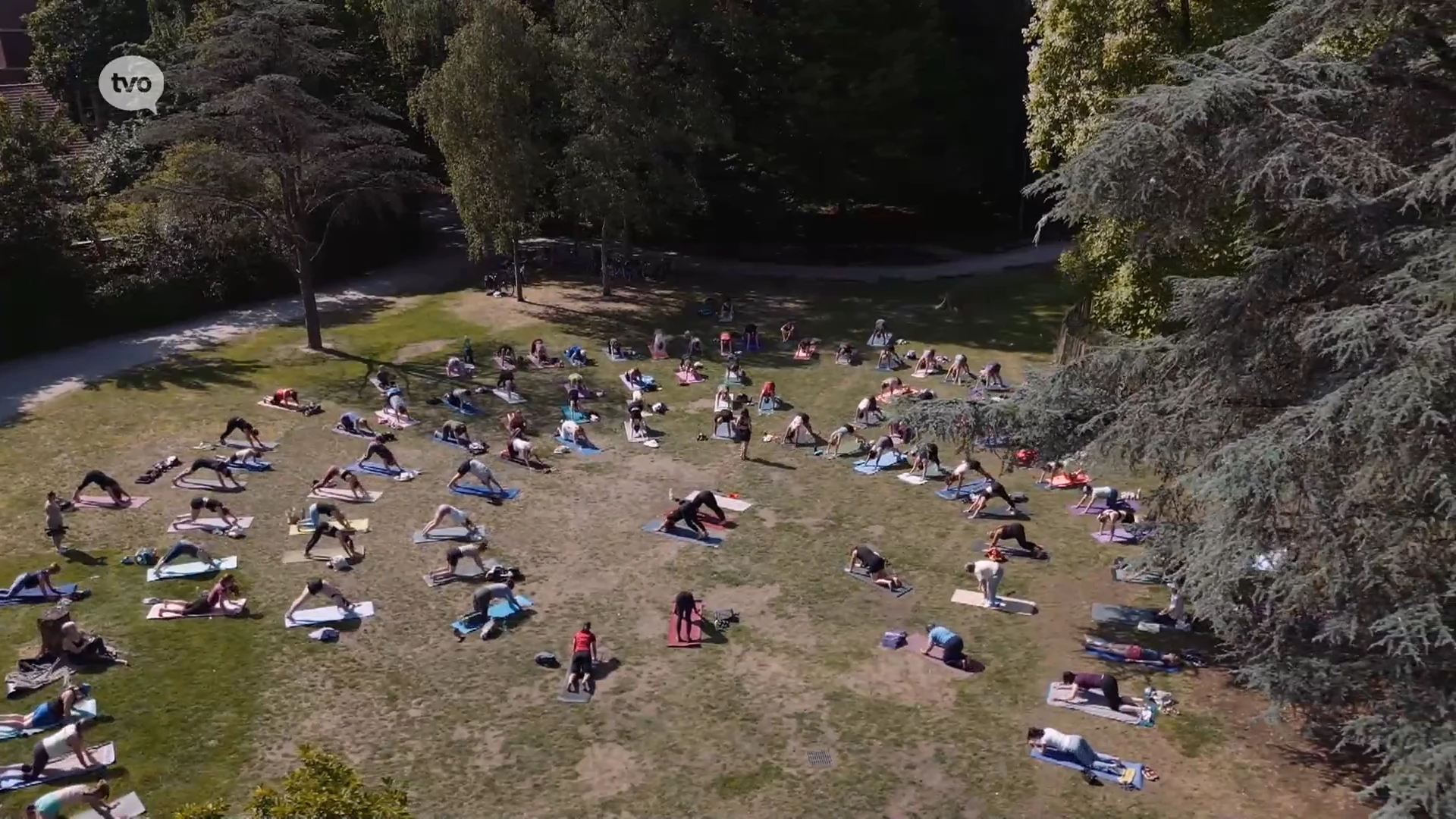 Meer dan honderd yogi's brengen 108 zonnegroeten in Sint-Niklase stadspark: "Zweten en puffen, maar unieke ervaring"
