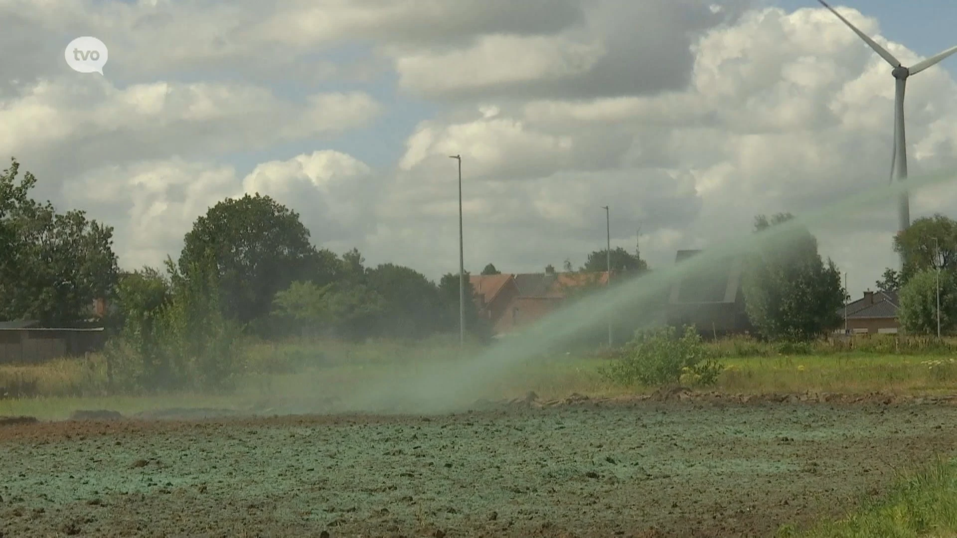 Proefproject hennep als duurzame sanering van PFAS-vervuilde gronden in Sint-Gillis-Waas