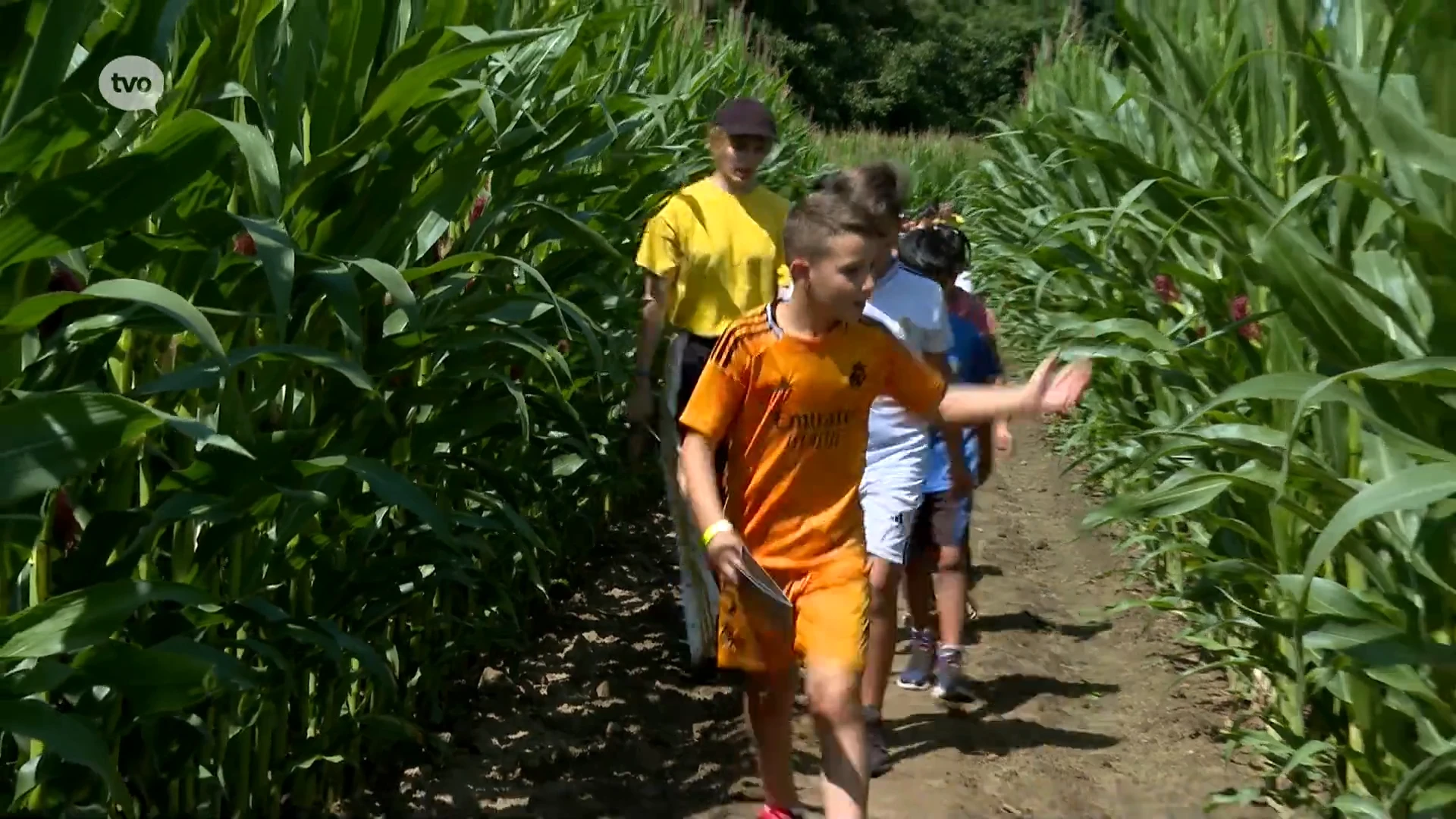 Verdwalen in een 3 hectare groot maïsdoolhof, het kan in Nieuwkerken-Waas