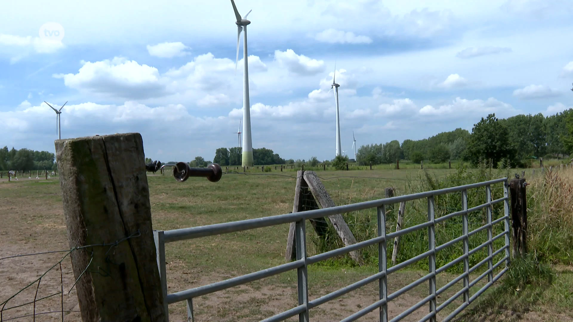 Paard met moeraskoorts in Lokeren geëuthanaseerd, 65 andere paarden in quarantaine