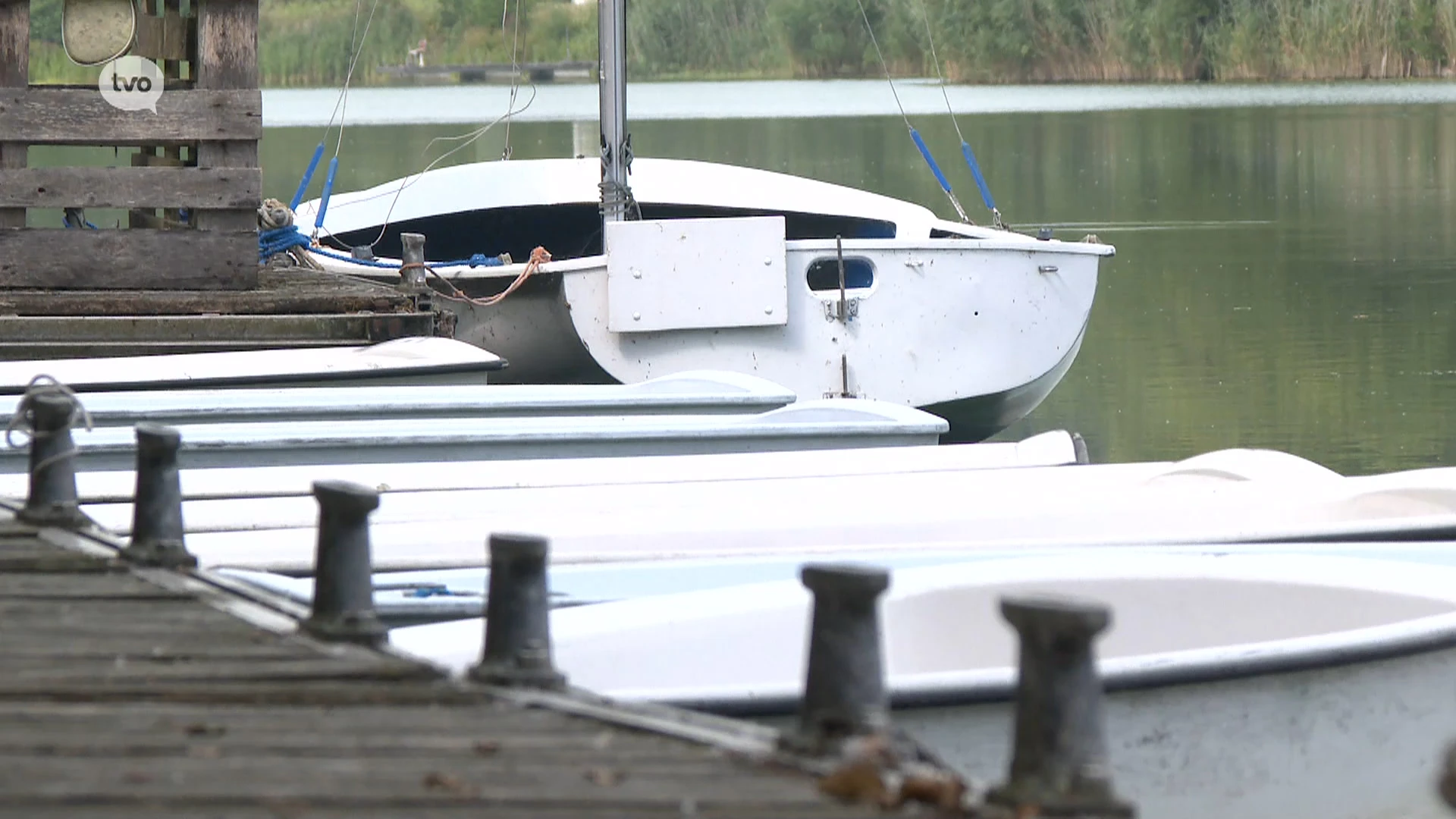 Blauwalg maakt recreatie en watersport aan zeilput in Waasmunster voorlopig onmogelijk