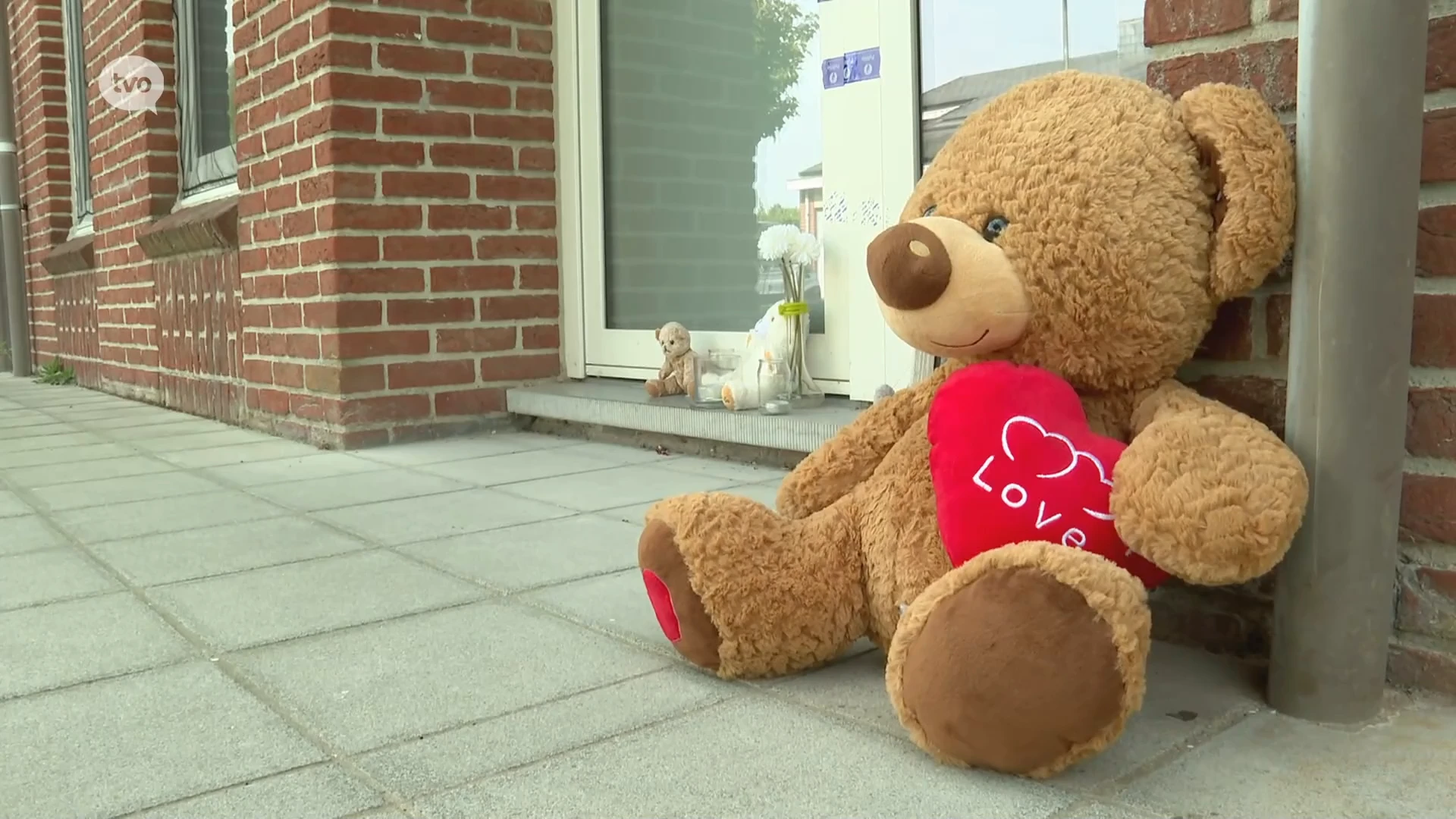 Buurtbewoners Lede: "Het was echt schrikken, een baby'tje van vijf maanden, ik krijg er nog rillingen van"