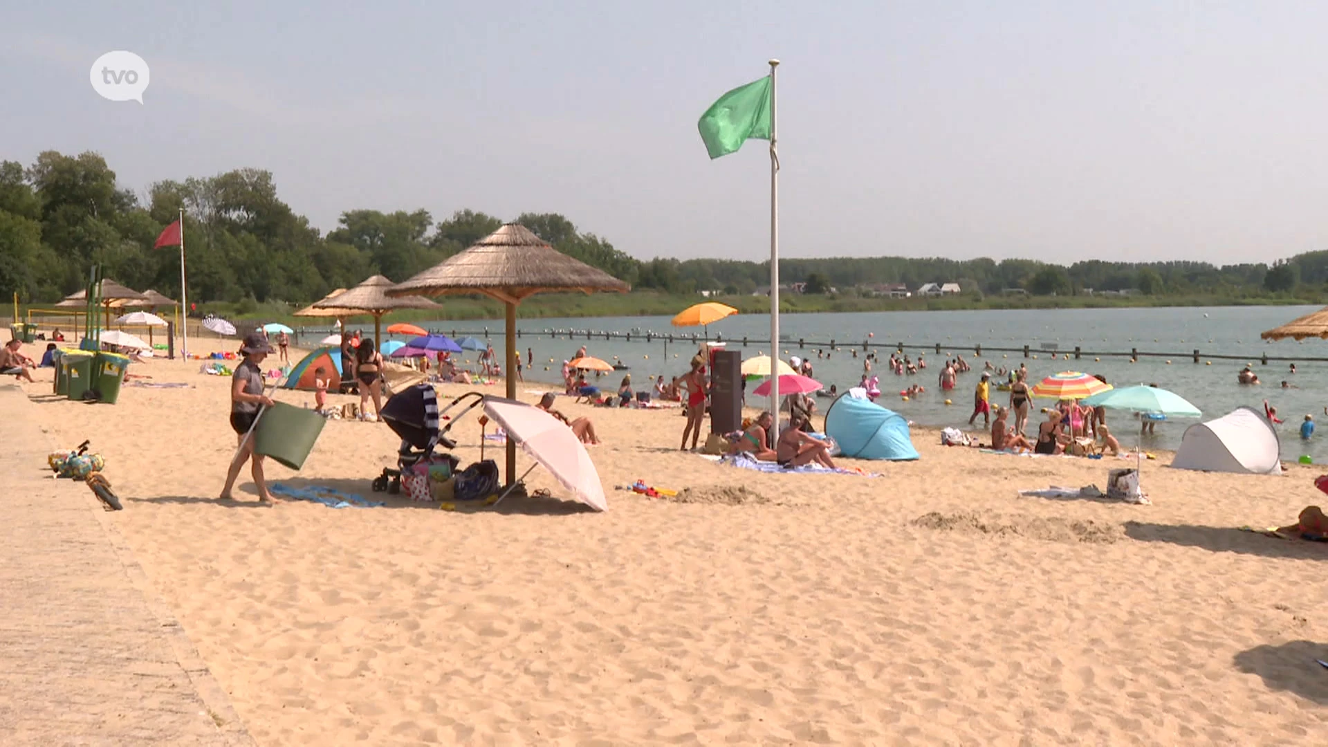 Blauwalg vastgesteld in zwemzone Nieuwdonk, alle wateractiviteiten verboden