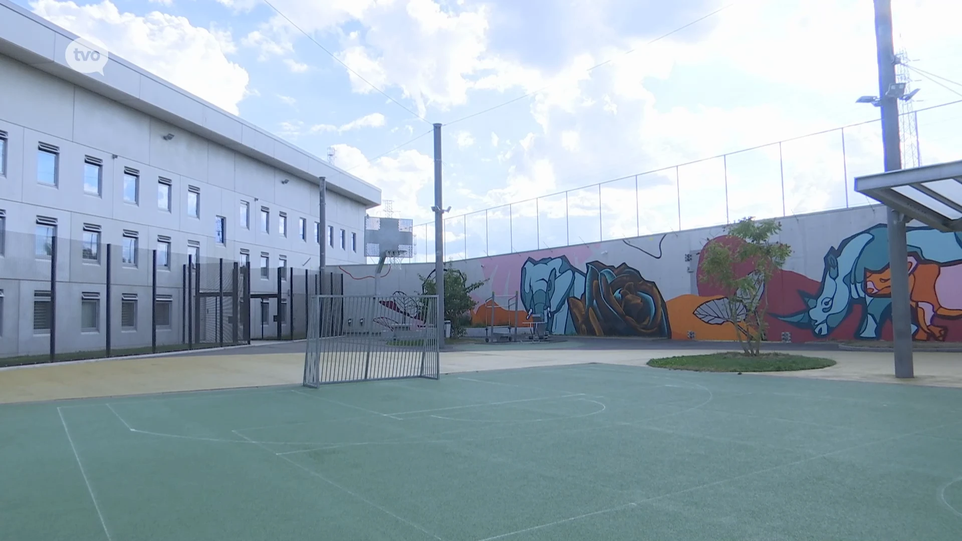 Meterslange muurschilderingen fleuren gevangenismuren op in nieuwe gevangenis van Dendermonde: "Zorgen voor nuttige dagbesteding"